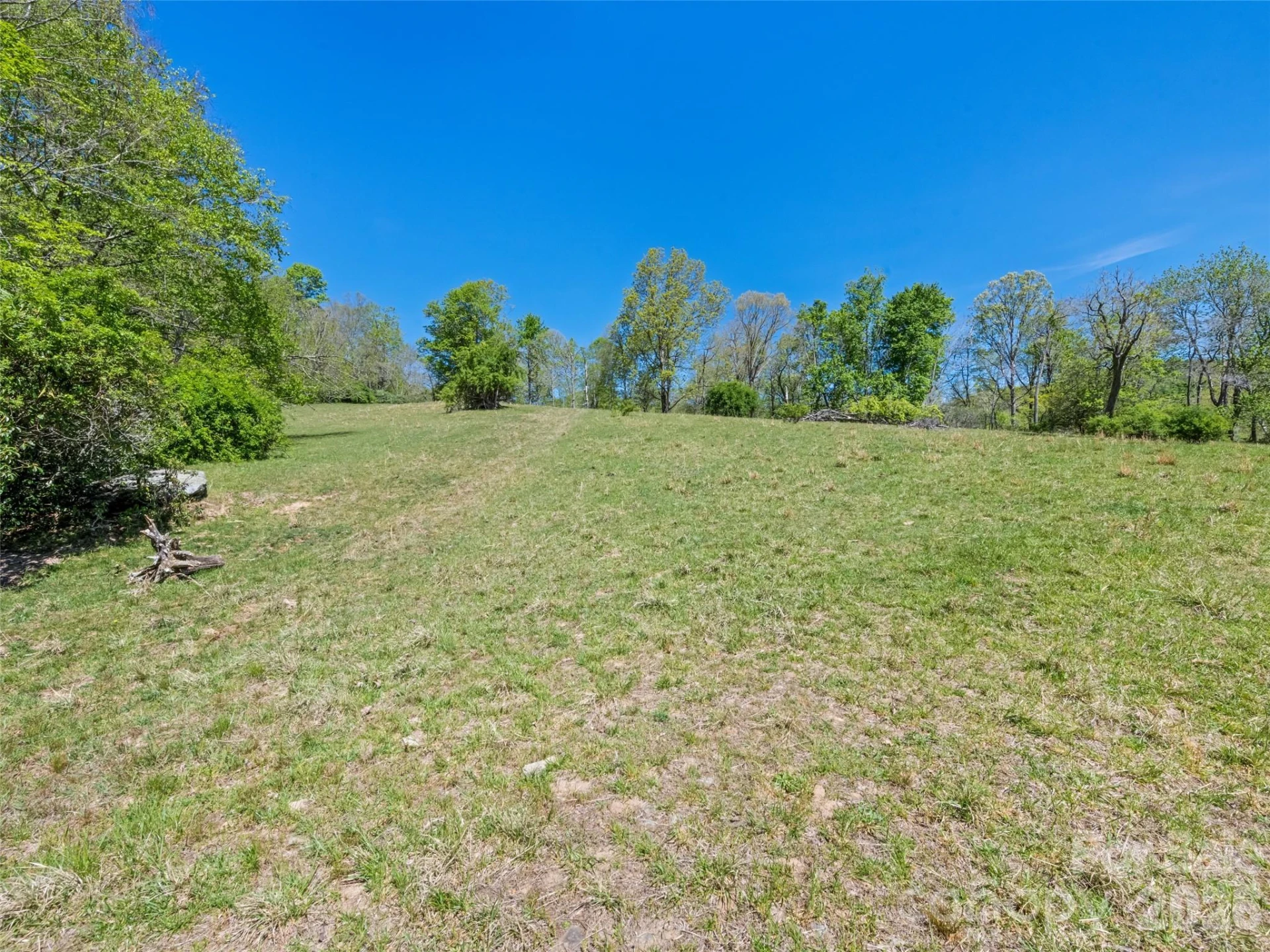1372 Sand Branch Road - Photo 34
