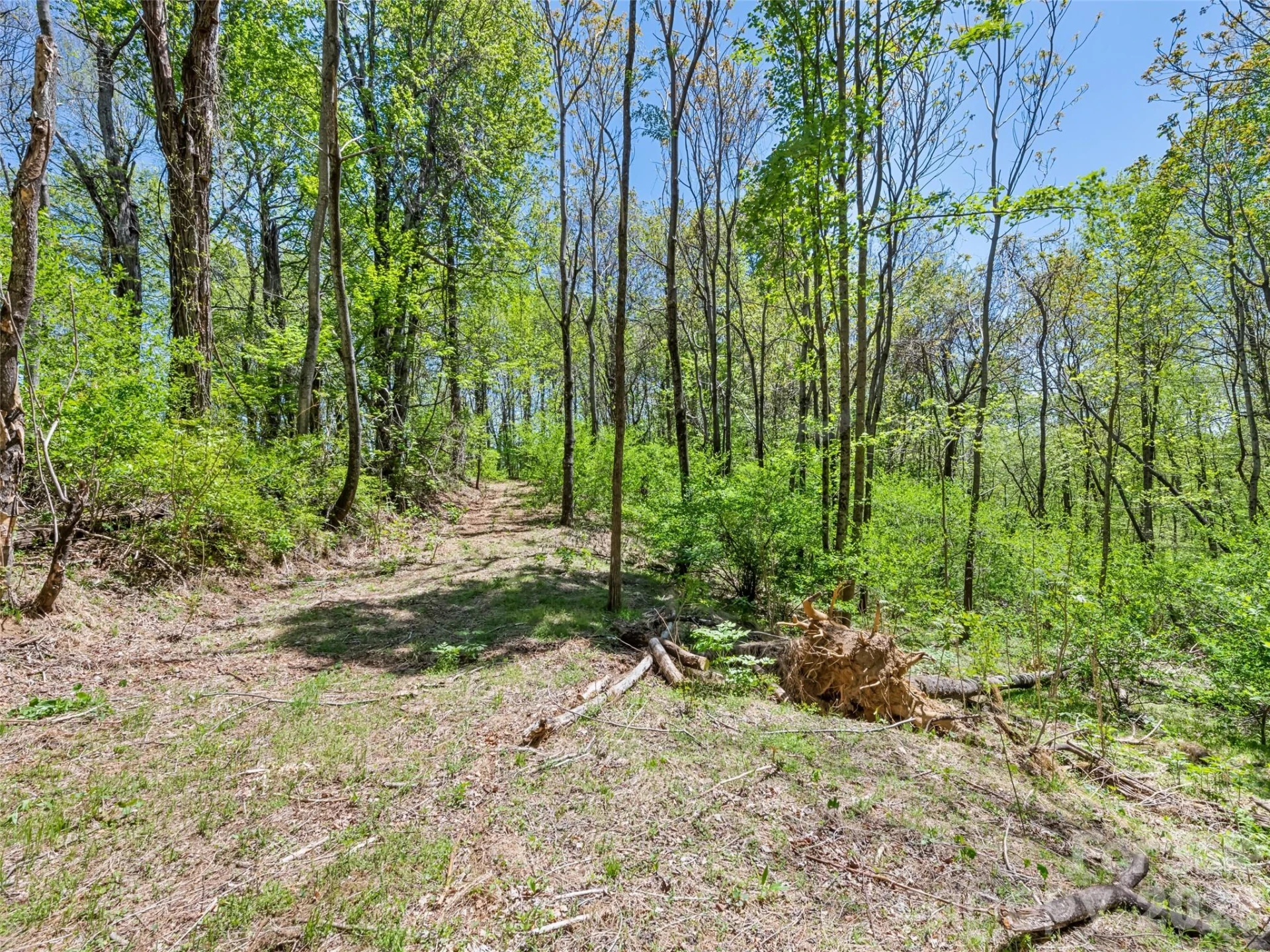 1372 Sand Branch Road - Photo 39