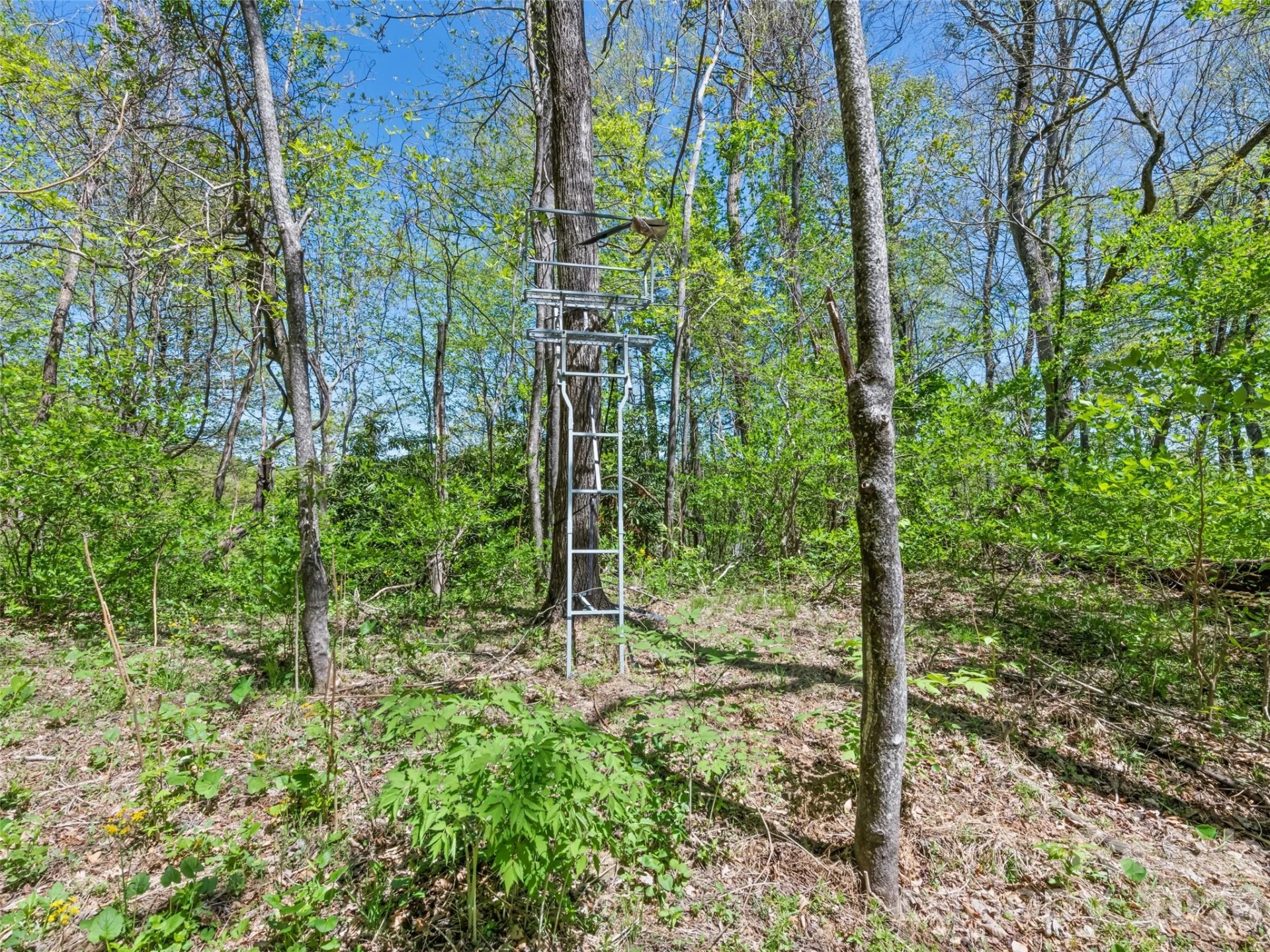 1372 Sand Branch Road - Photo 40