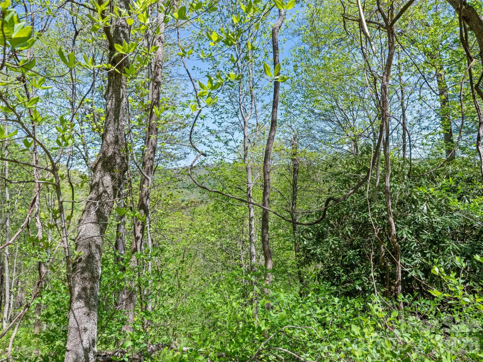 1372 Sand Branch Road - Photo 41