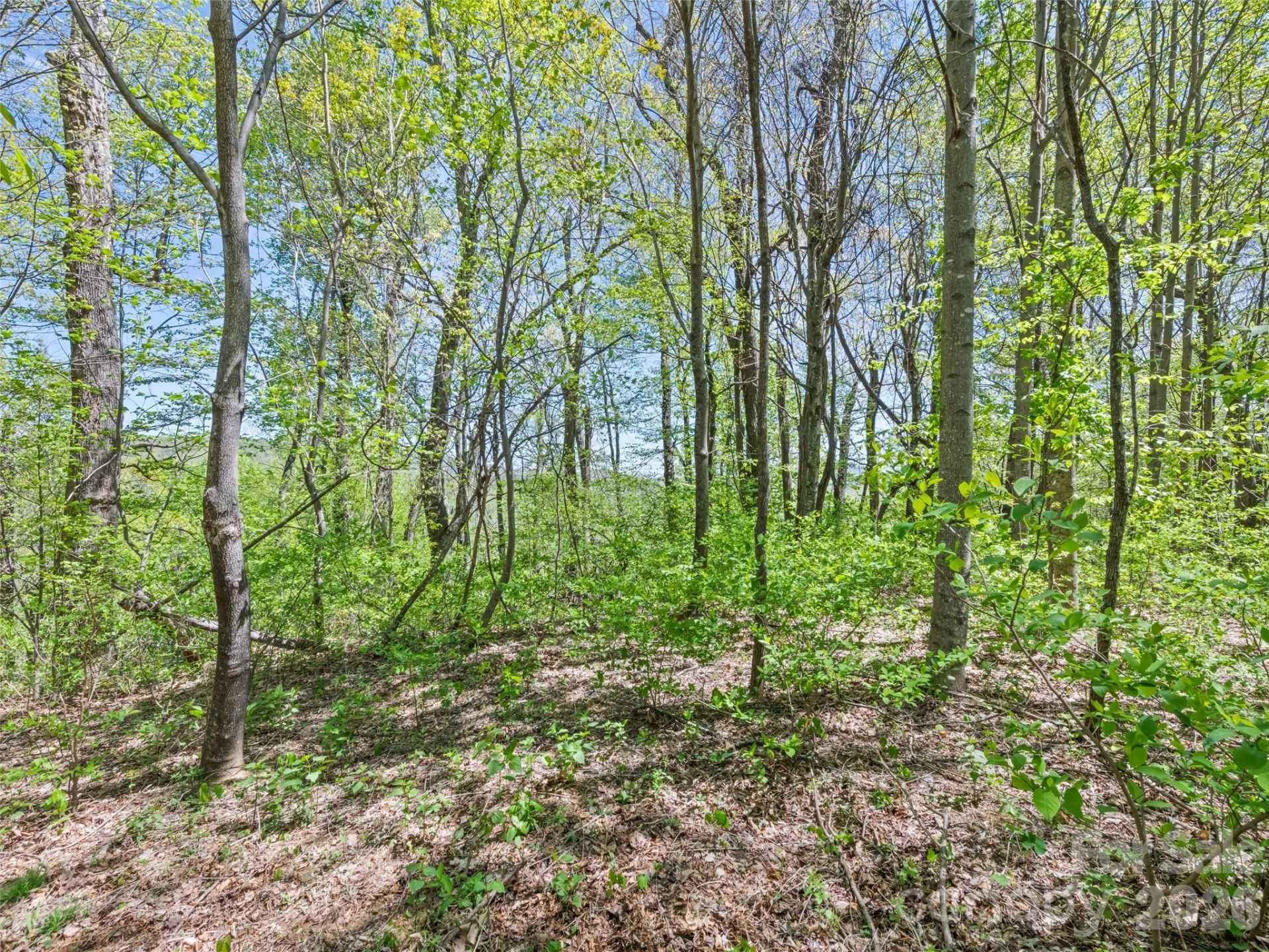 1372 Sand Branch Road - Photo 42