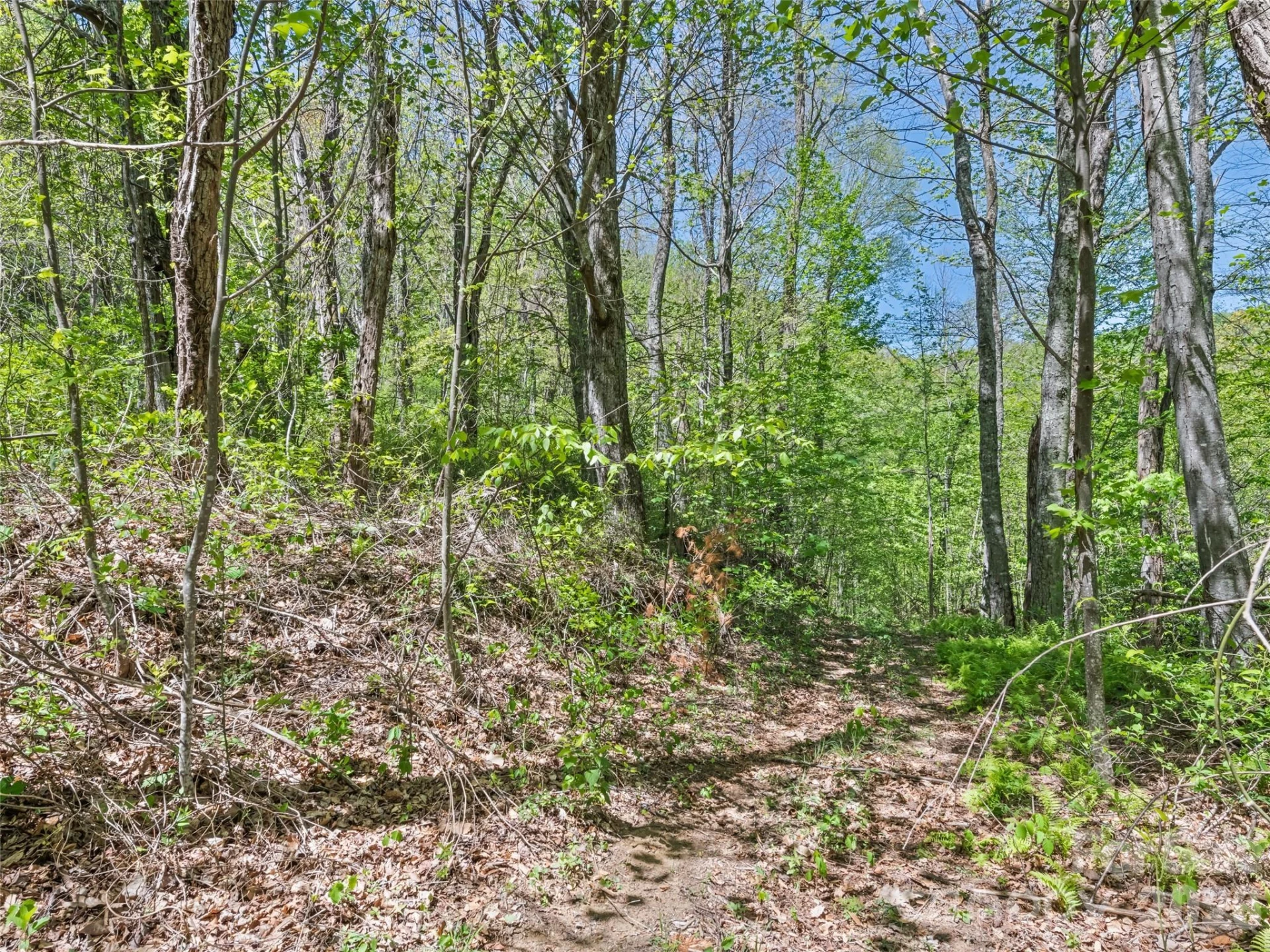 1372 Sand Branch Road - Photo 43