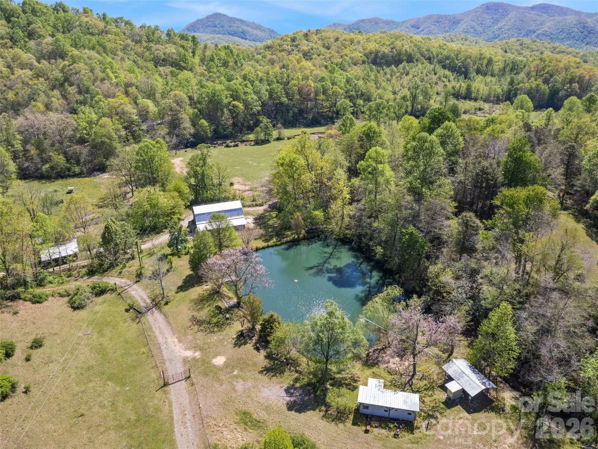1372 Sand Branch Road - Photo 5