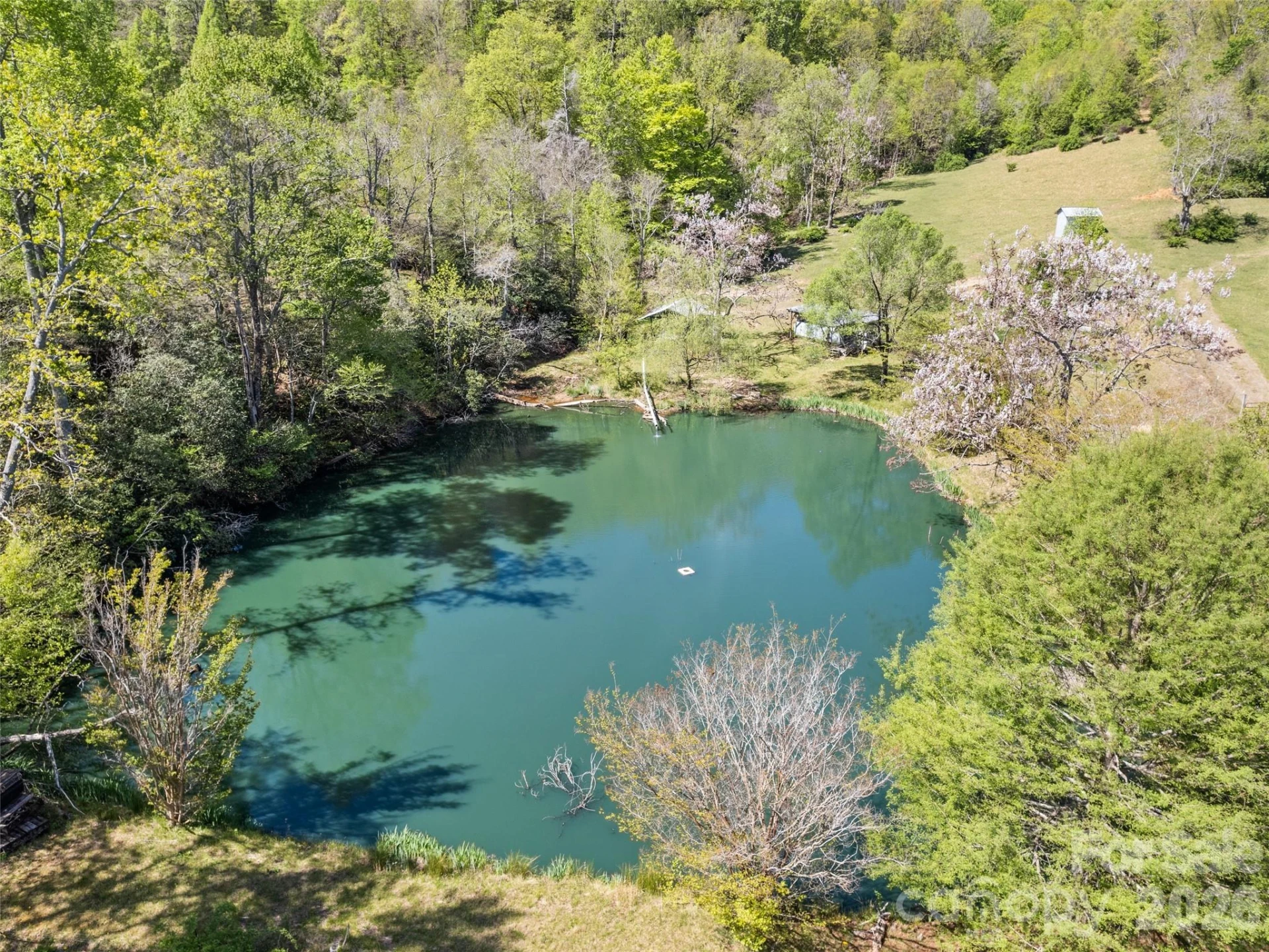 1372 Sand Branch Road - Photo 8