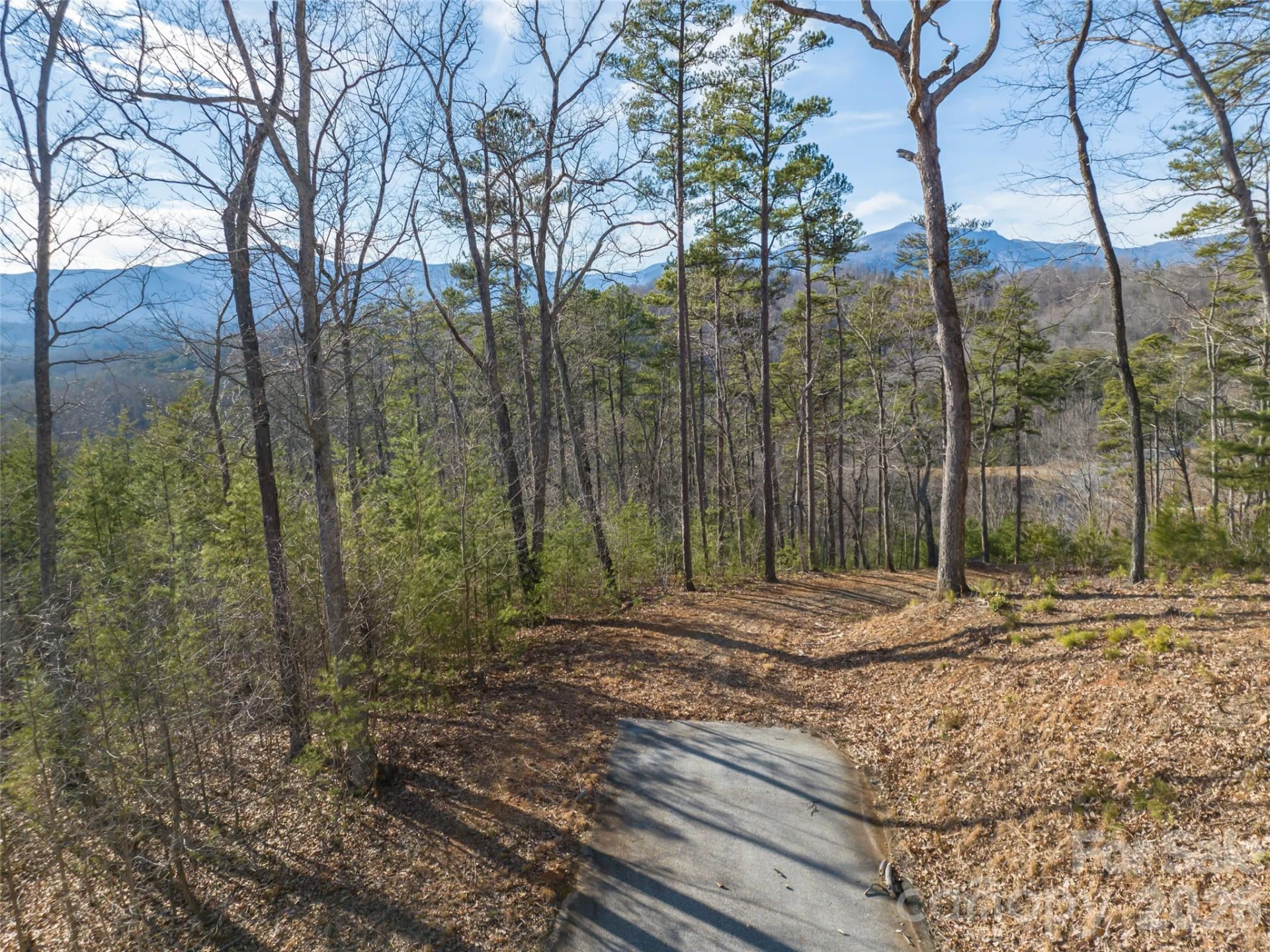 223 Rock Ledge Drive - Photo 14