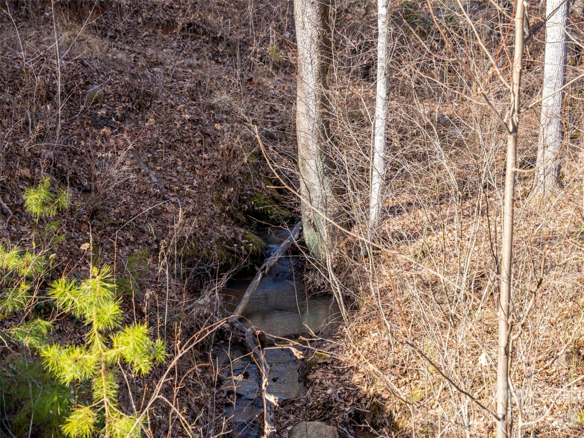 223 Rock Ledge Drive - Photo 35