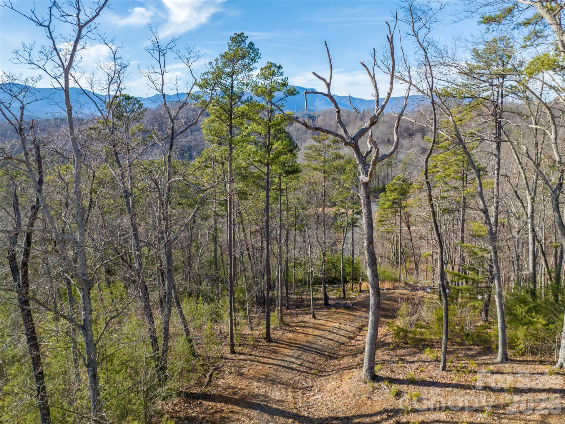 223 Rock Ledge Drive - Photo 10