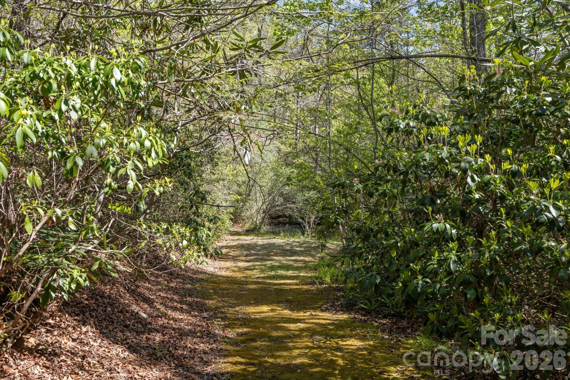 78 Bird Creek Estates Road - Photo 43