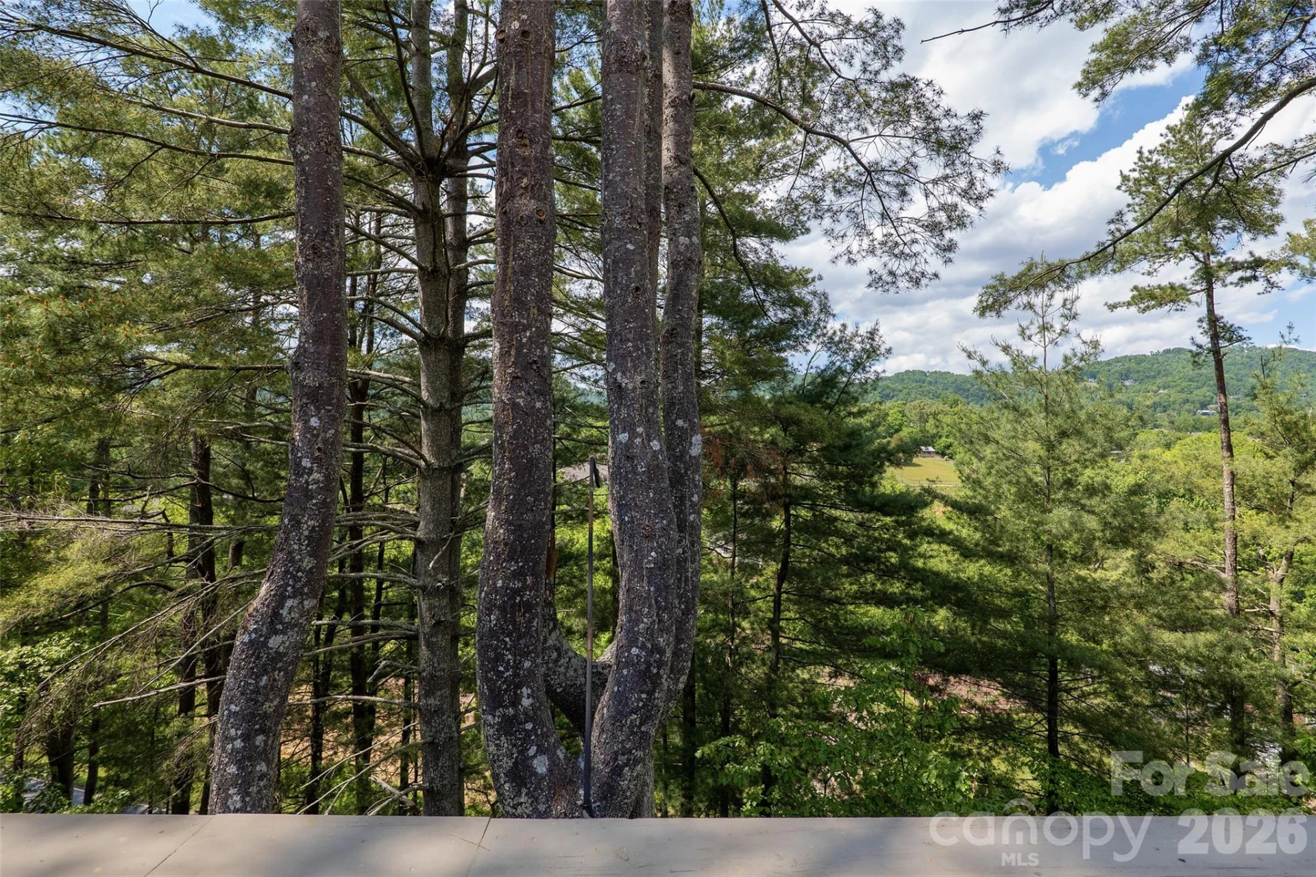 201 Timber Drive - Photo 20