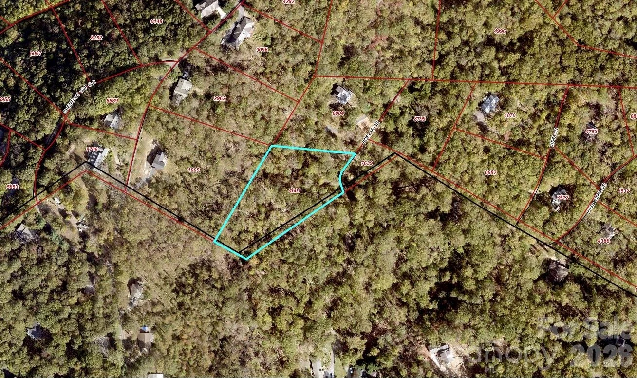 Lot #39 Poplar Drive - Photo 3