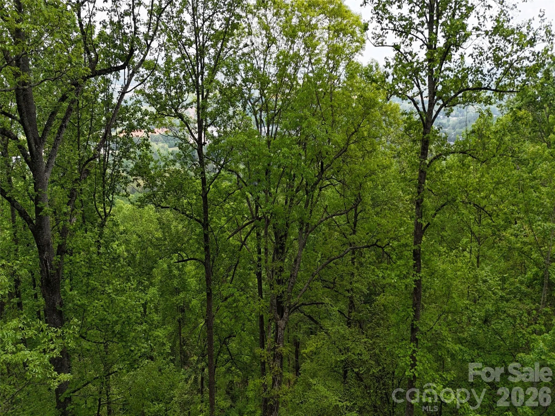 Lot #39 Poplar Drive - Photo 17