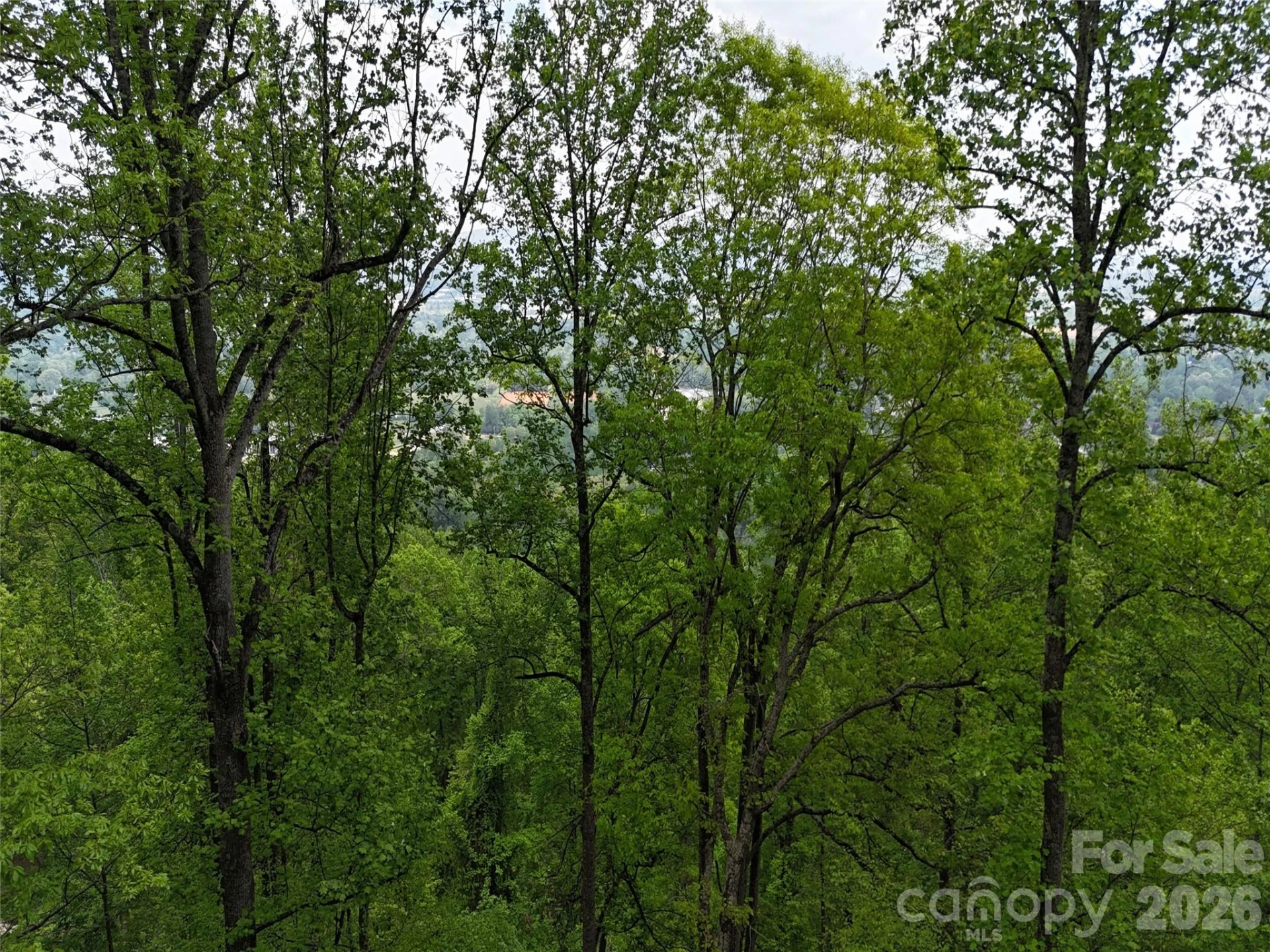 Lot #39 Poplar Drive - Photo 19