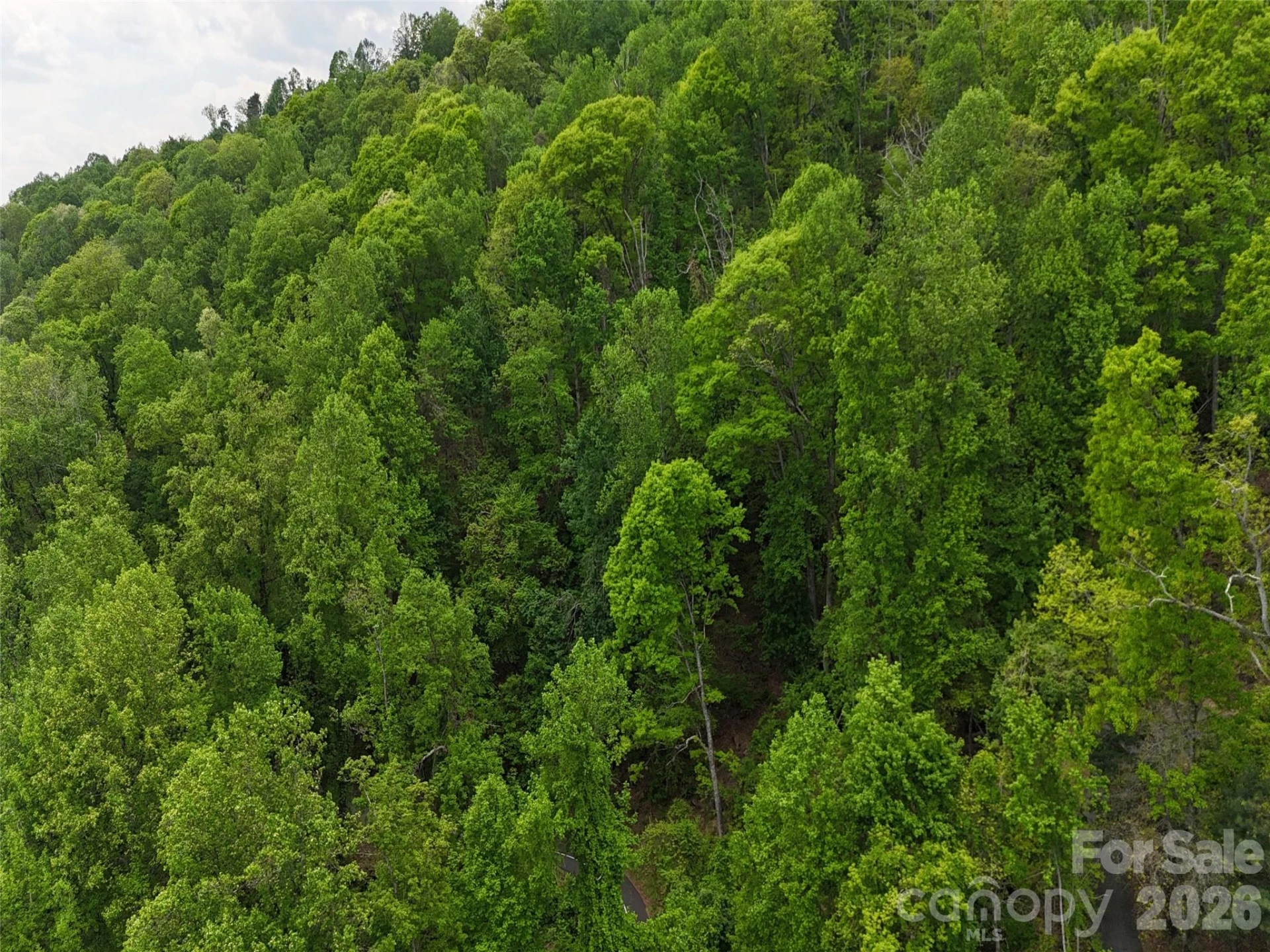 Lot #39 Poplar Drive - Photo 21