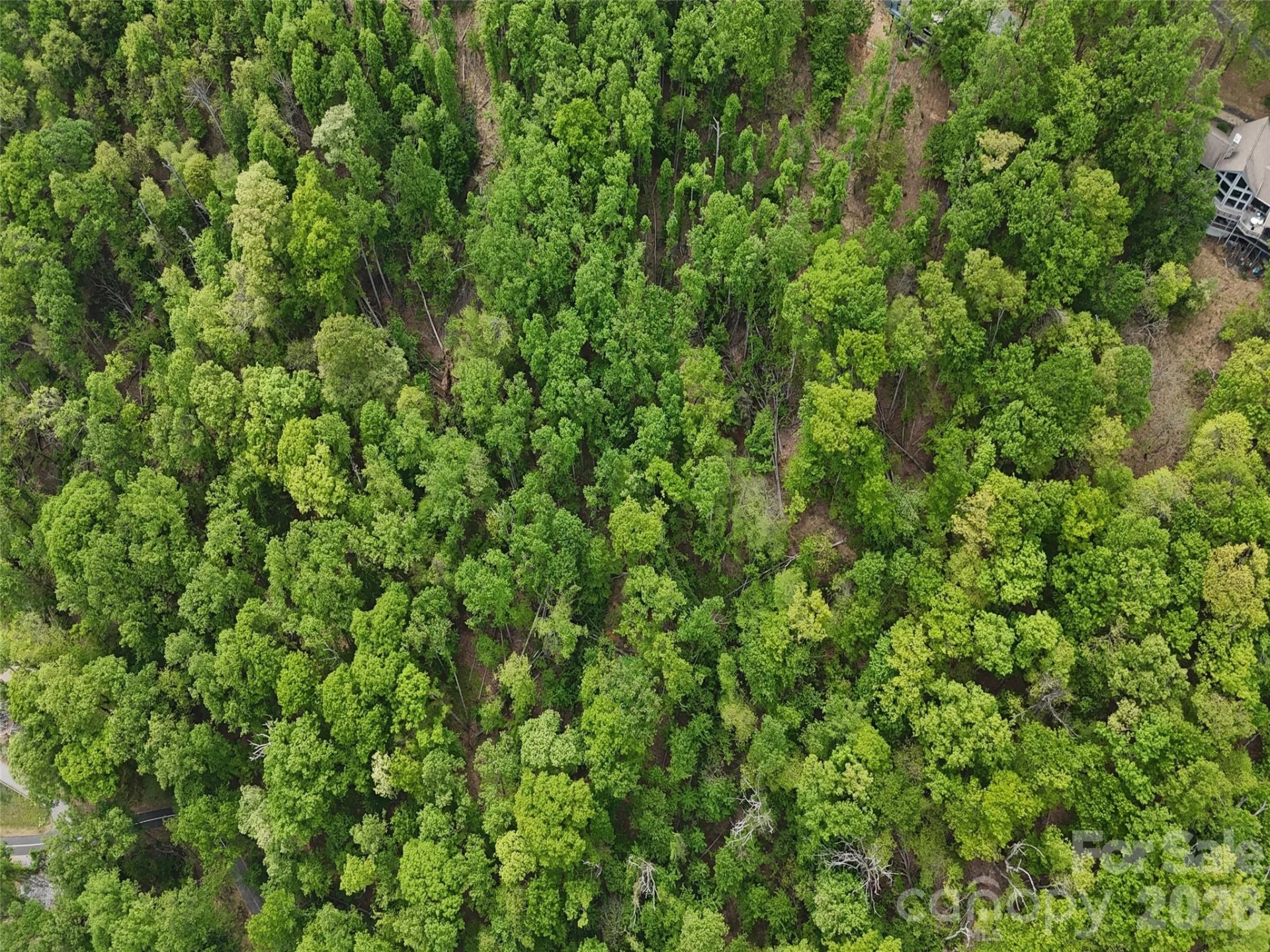 Lot #39 Poplar Drive - Photo 9