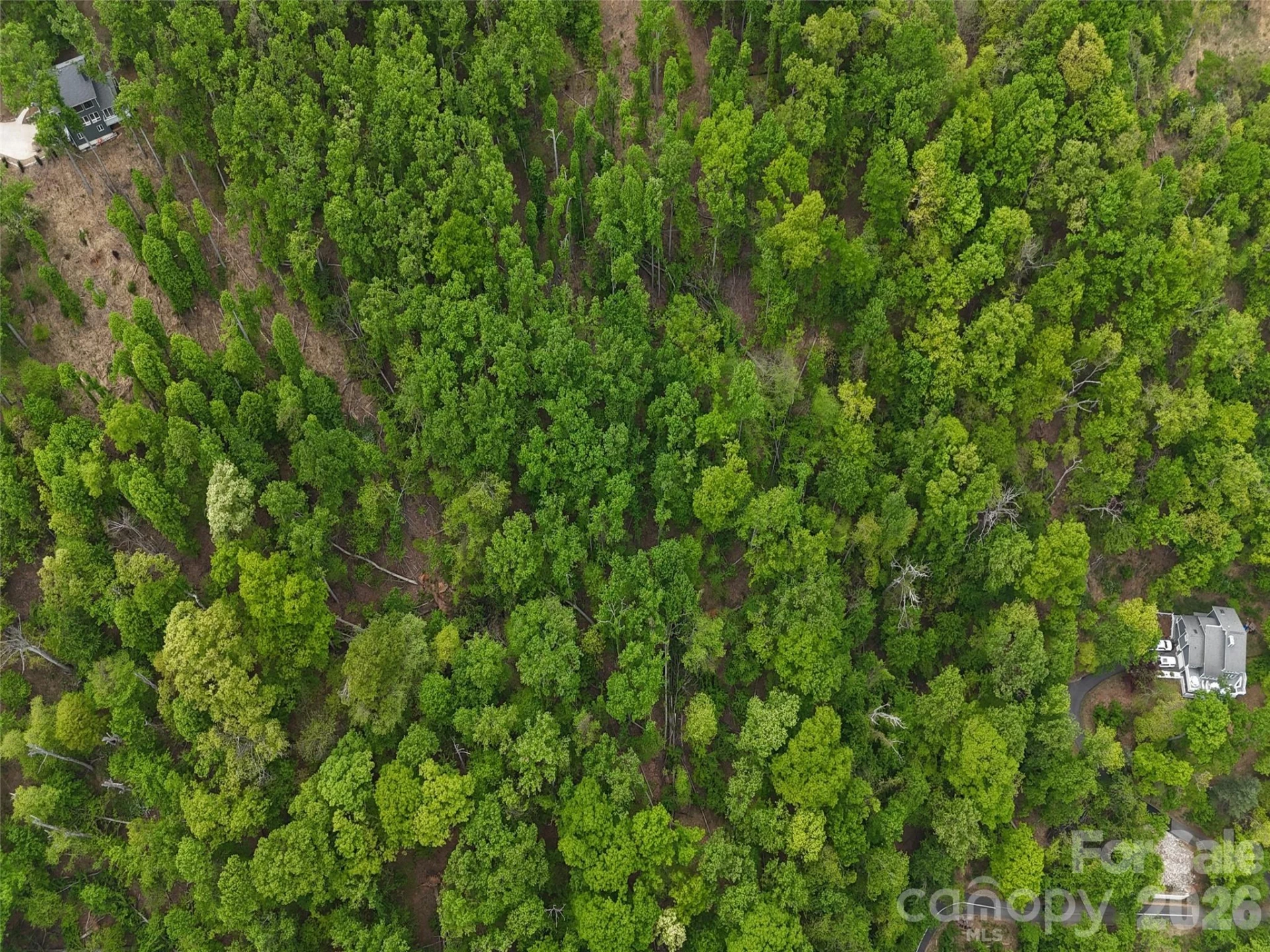 Lot #39 Poplar Drive - Photo 11