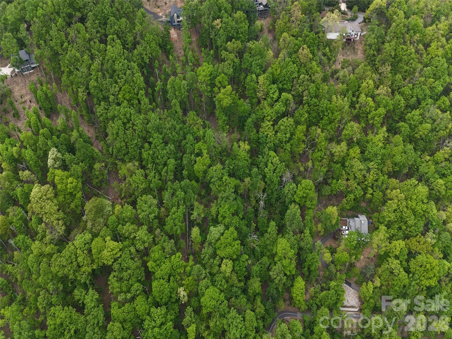 Lot #39 Poplar Drive - Photo 13