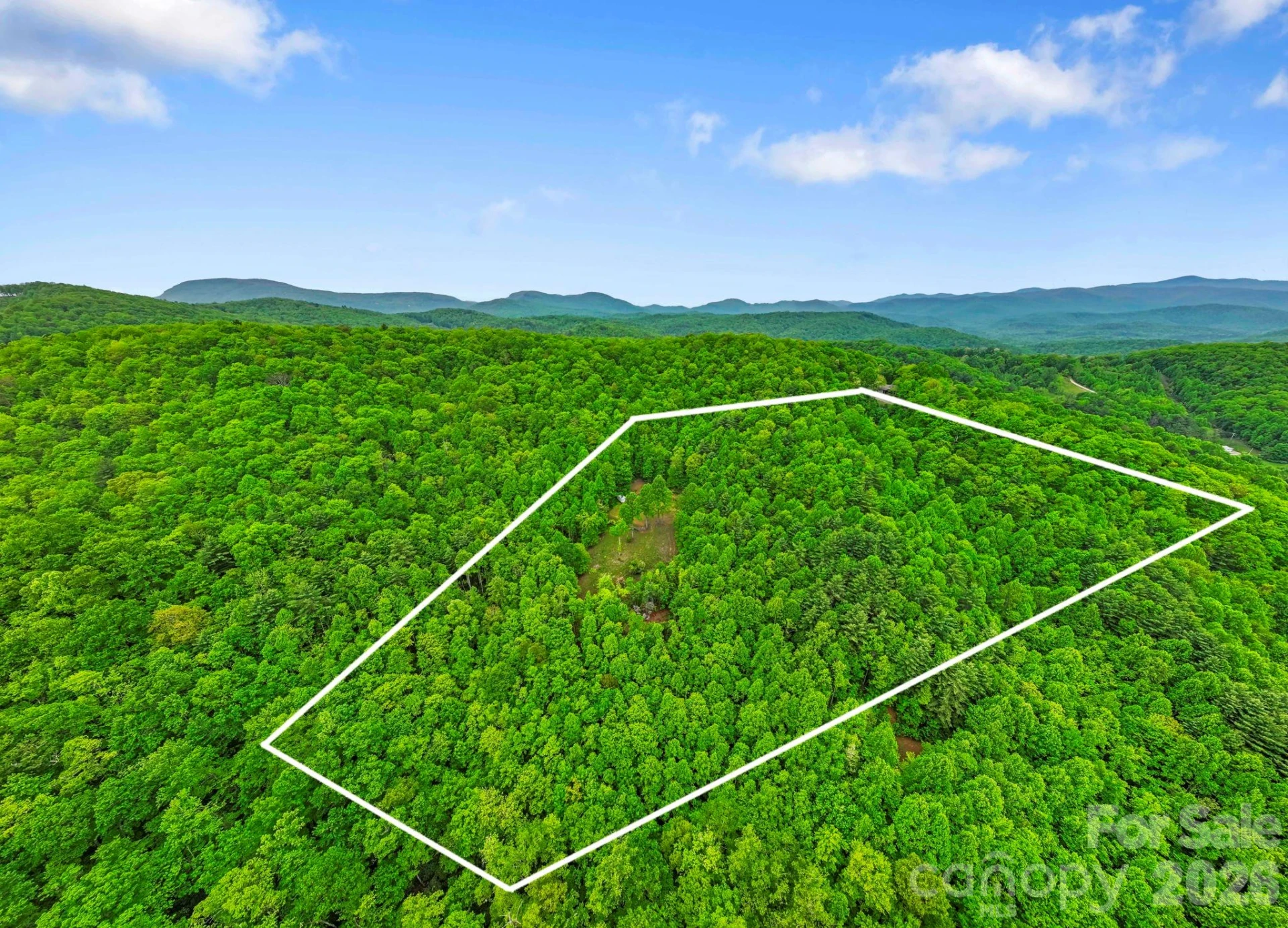 1325 Golden Road - Photo 4