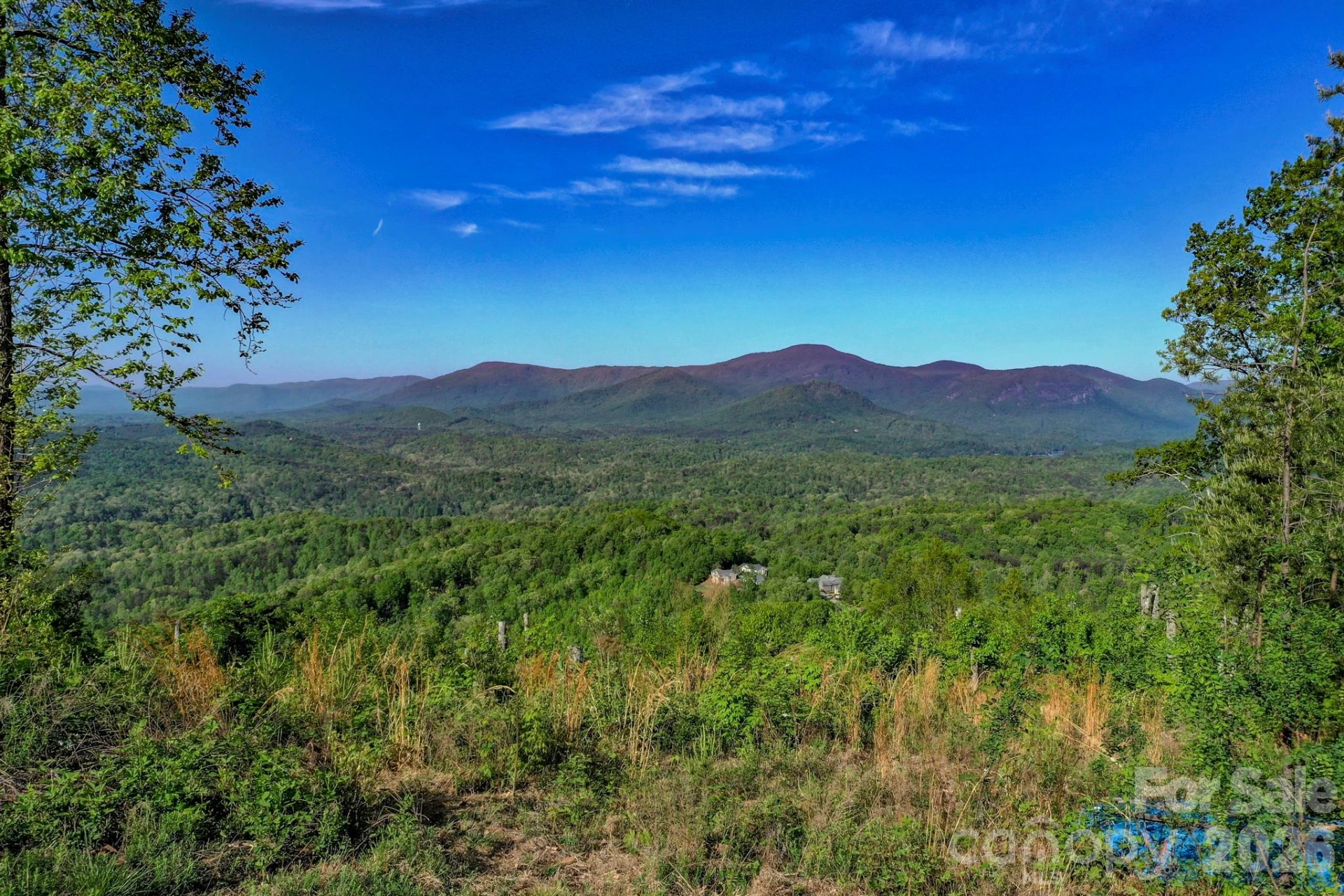 000 Golden Ridge Drive - Photo 11