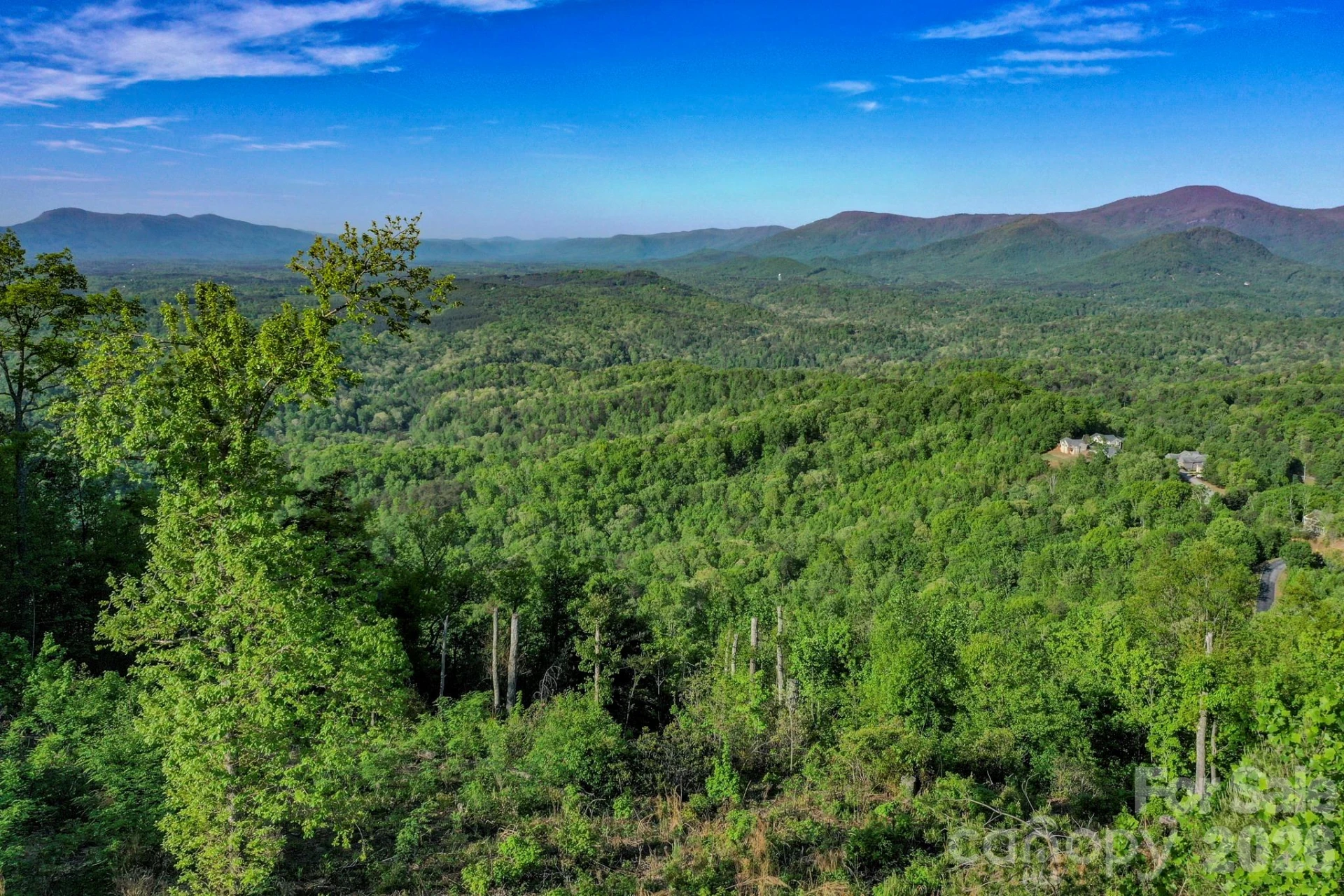 000 Golden Ridge Drive - Photo 3