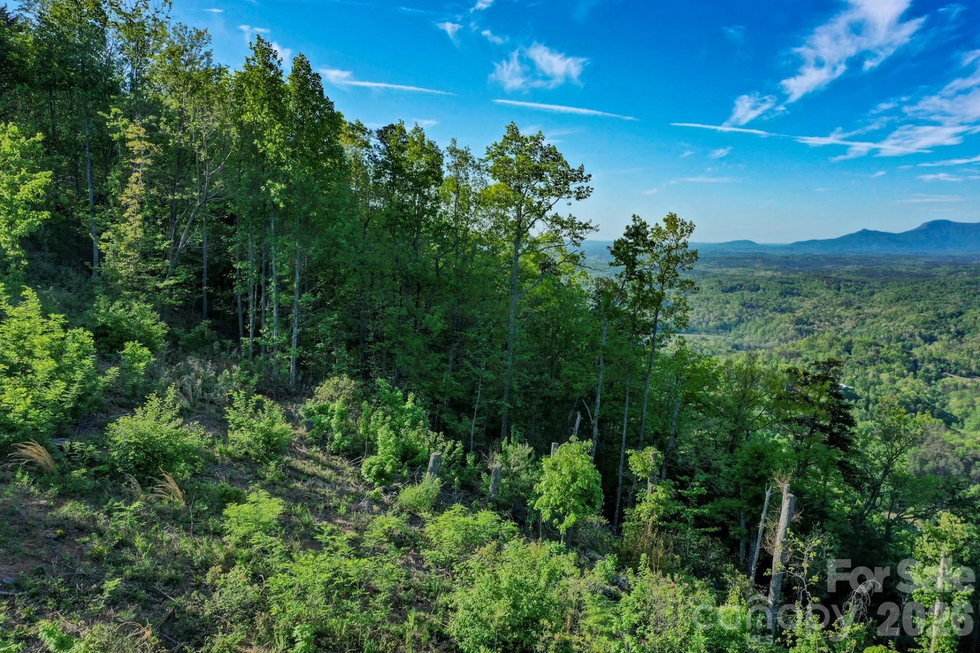 000 Golden Ridge Drive - Photo 4