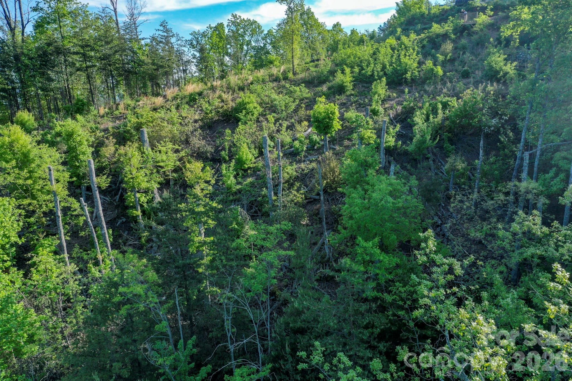 000 Golden Ridge Drive - Photo 5