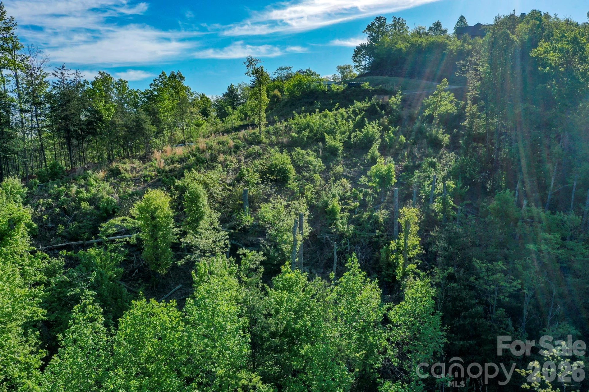 000 Golden Ridge Drive - Photo 6