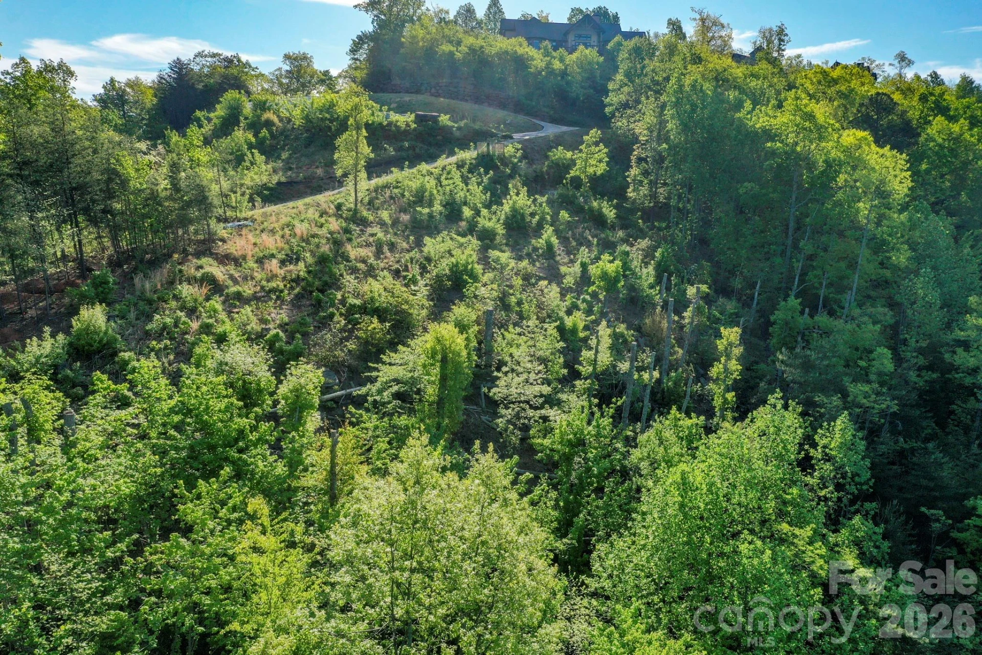 000 Golden Ridge Drive - Photo 7