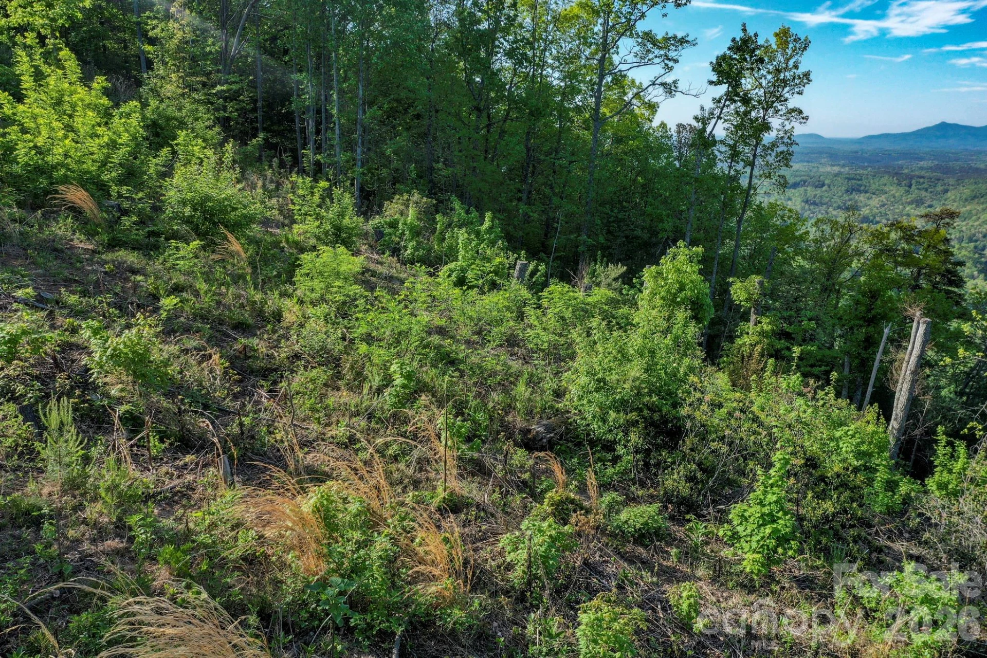000 Golden Ridge Drive - Photo 9