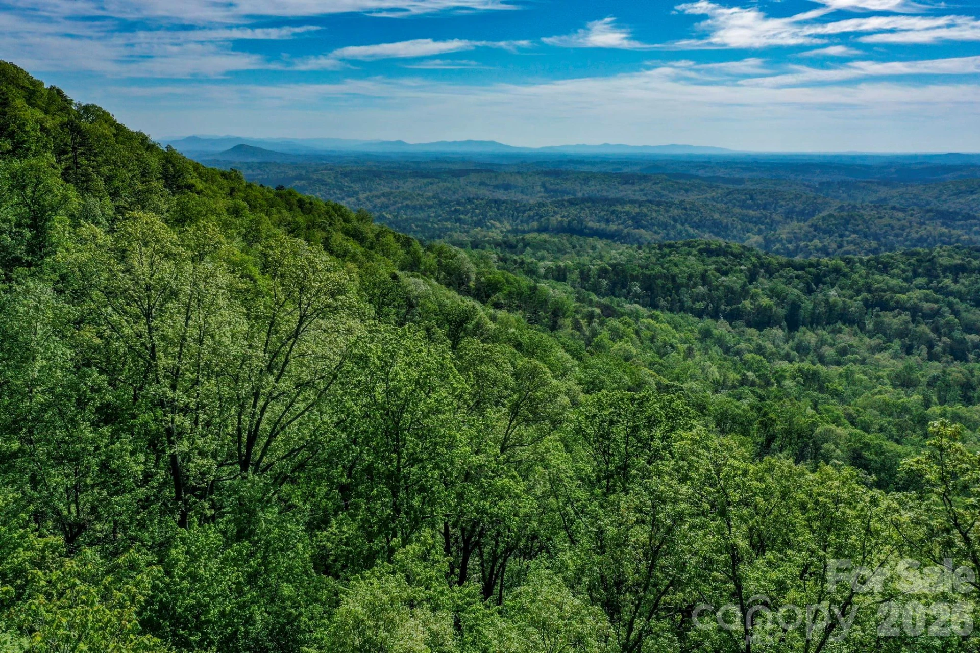 0 Bills Mountain Trail #402 - Photo 2