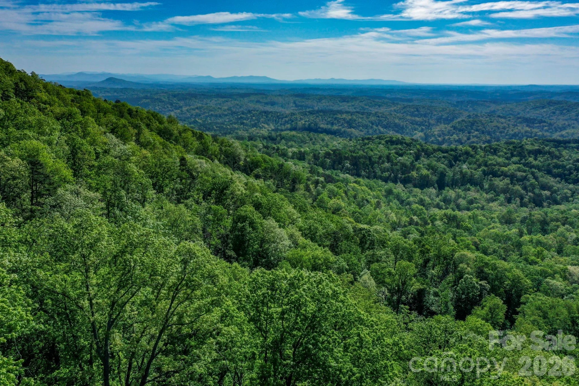 0 Bills Mountain Trail #402 - Photo 11