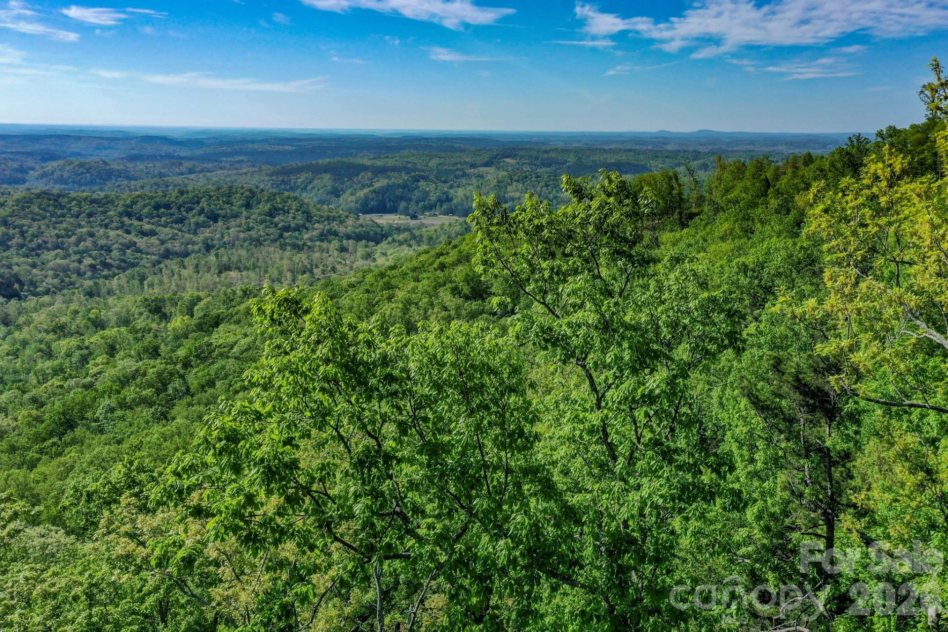 0 Bills Mountain Trail #402 - Photo 3