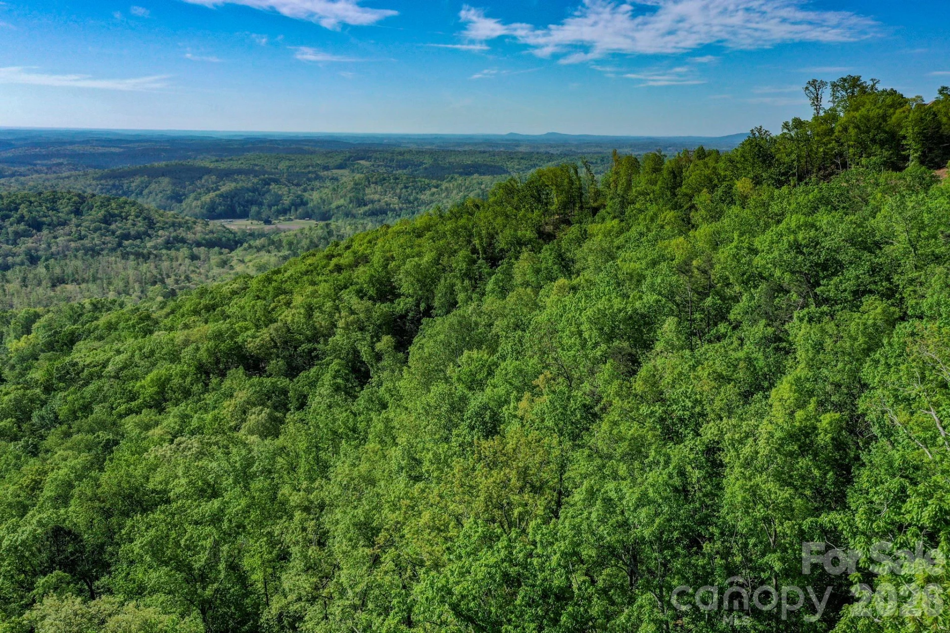 0 Bills Mountain Trail #402 - Photo 4