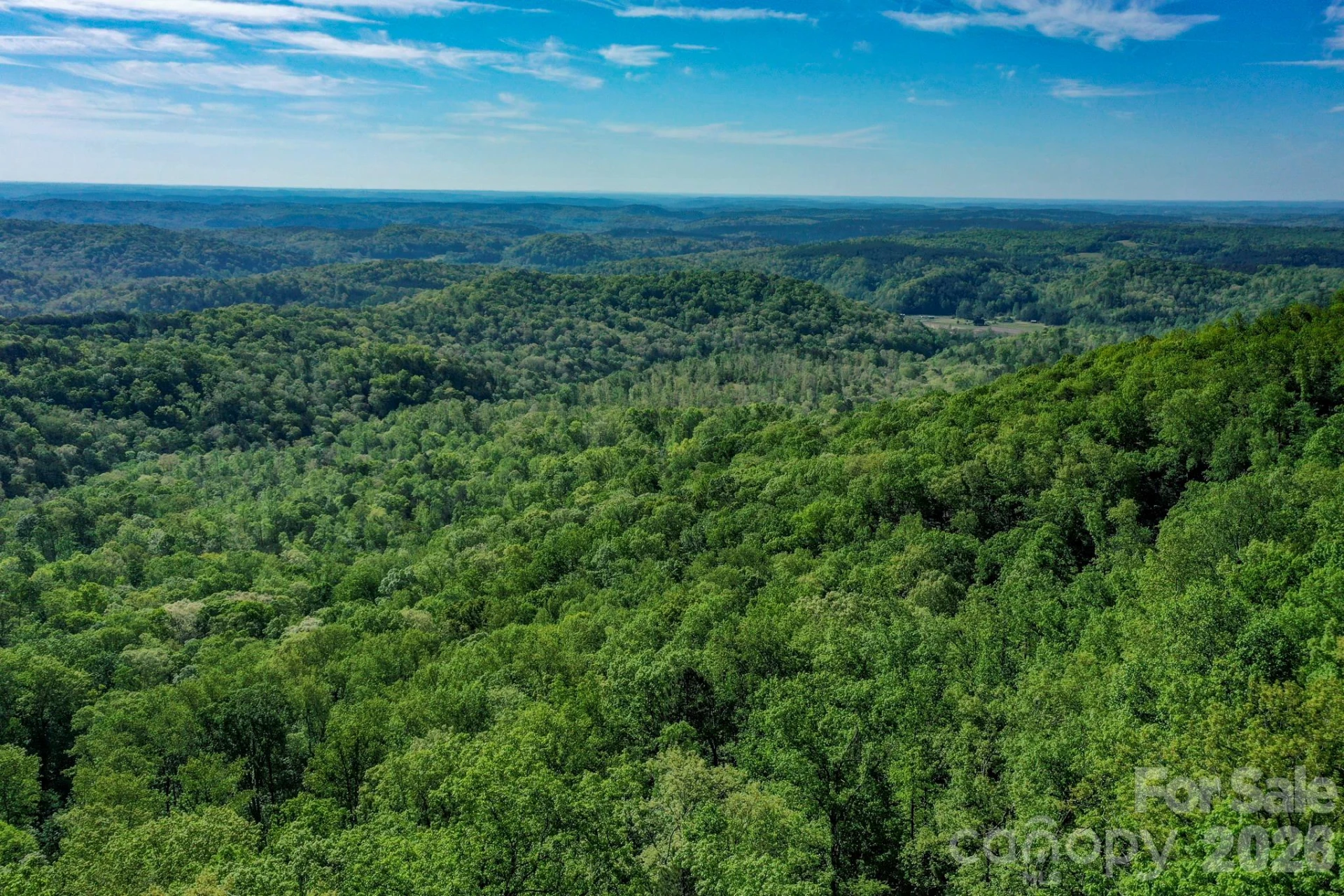 0 Bills Mountain Trail #402 - Photo 5
