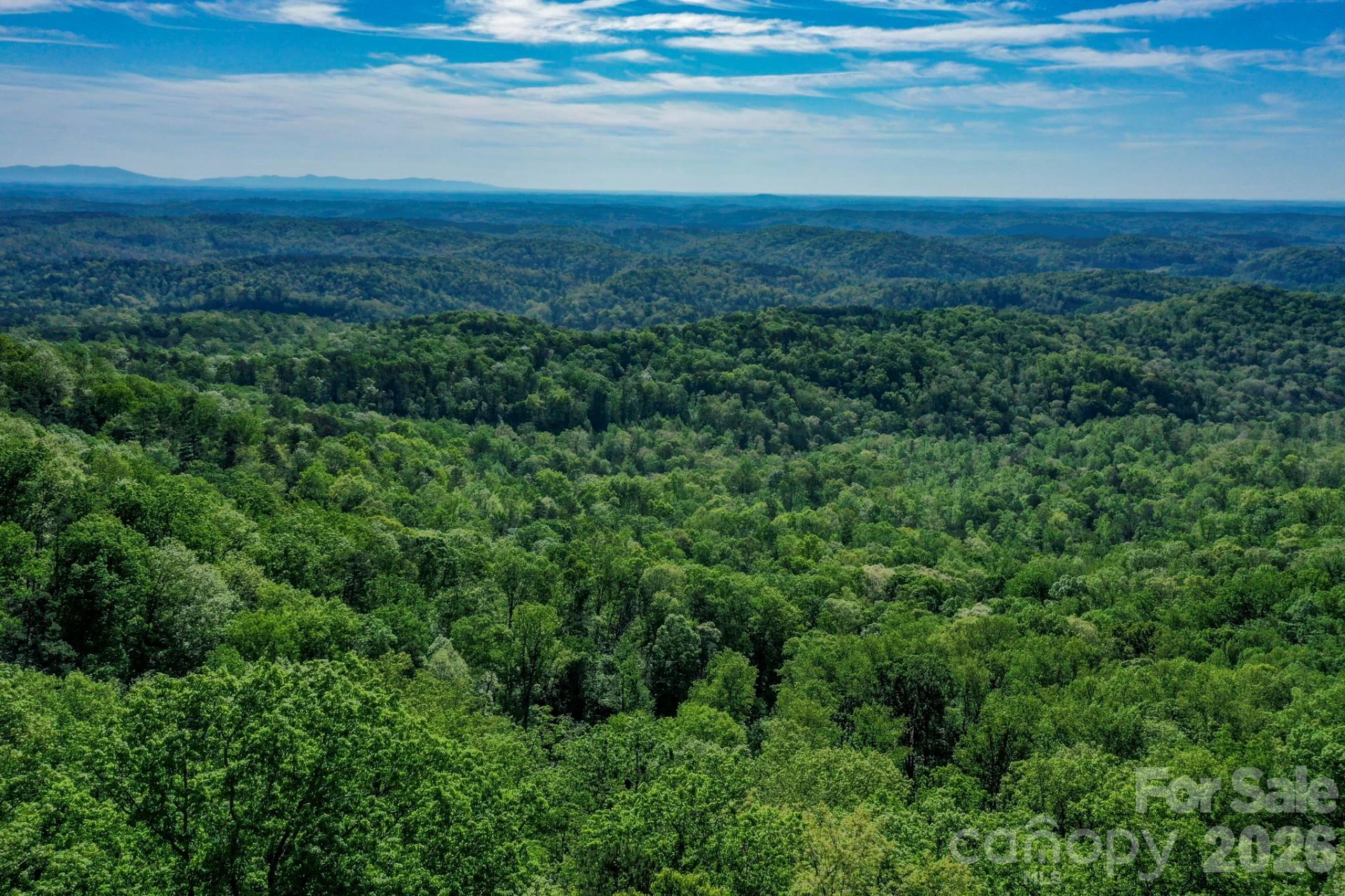 0 Bills Mountain Trail #402 - Photo 6