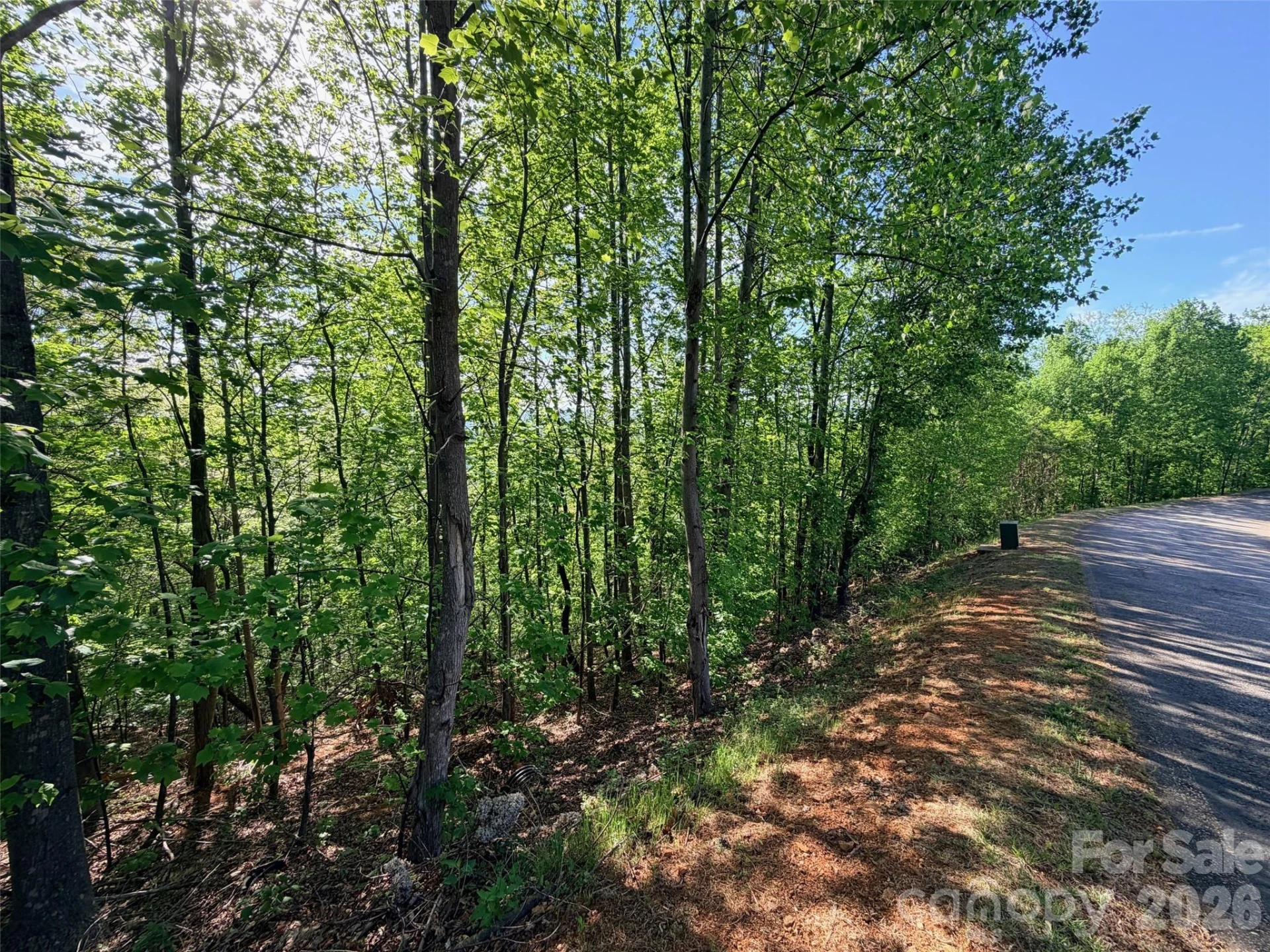 0 Bills Mountain Trail #402 - Photo 7