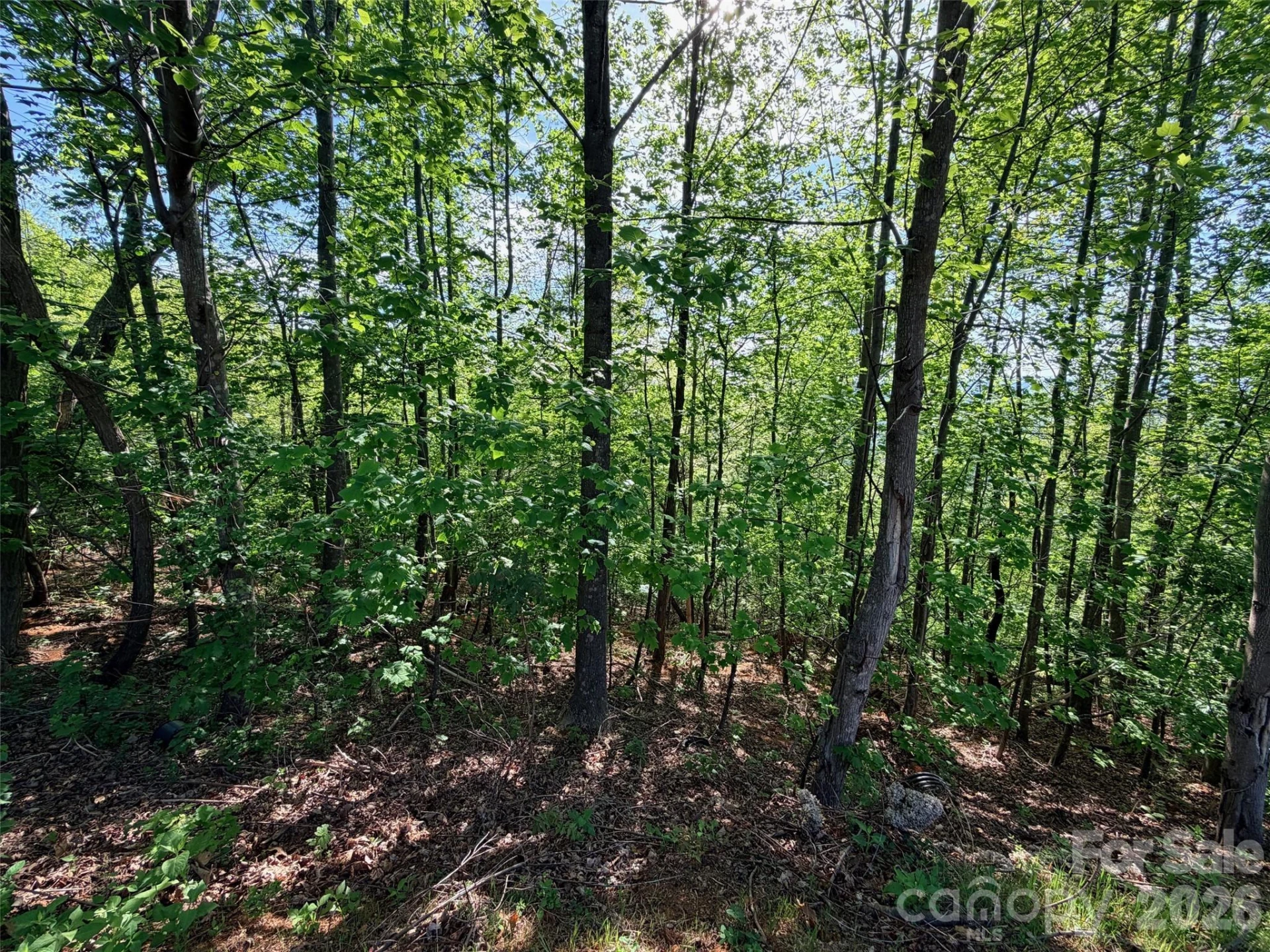 0 Bills Mountain Trail #402 - Photo 8