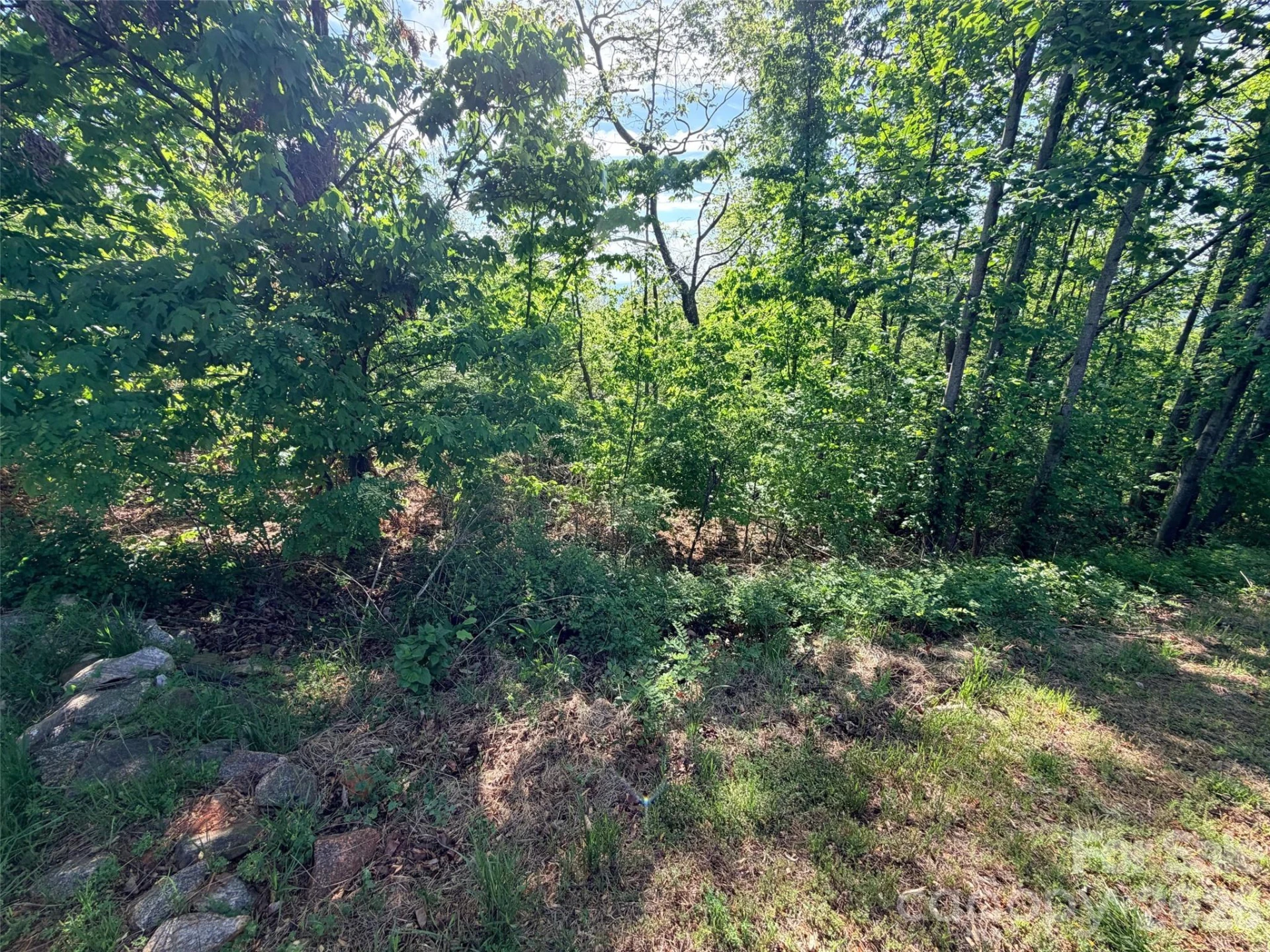 0 Bills Mountain Trail #402 - Photo 9