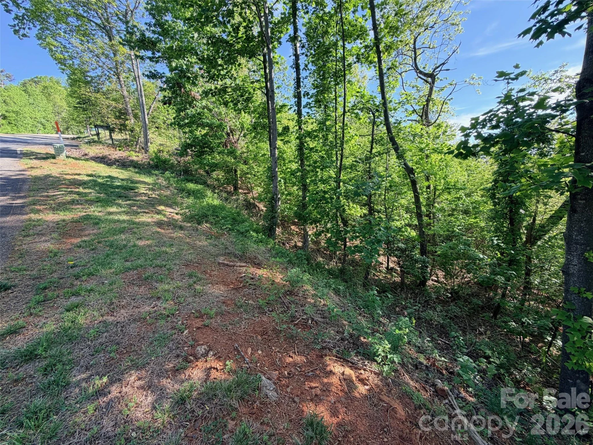 0 Bills Mountain Trail #402 - Photo 10