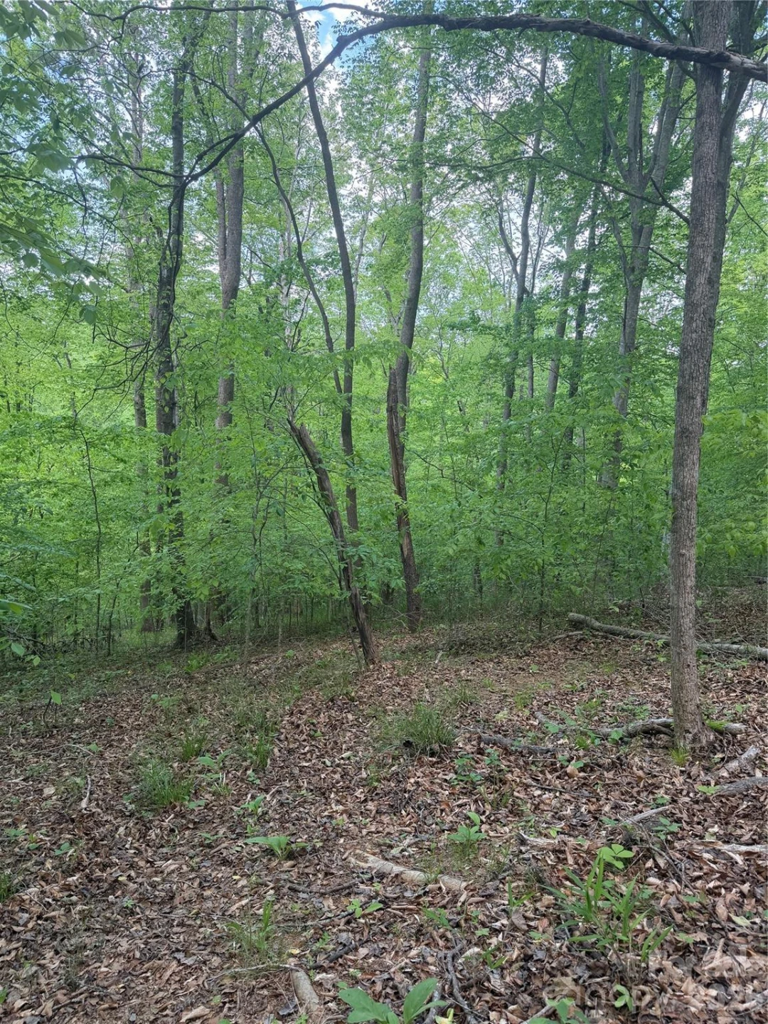 0 Overstone Drive #284 - Photo 8
