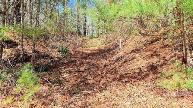 000 Jeter Mountain Road
