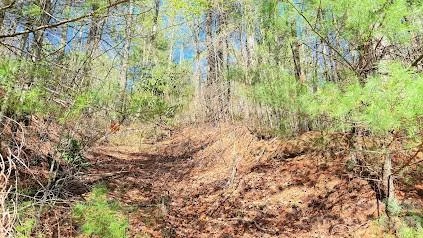 000 Jeter Mountain Road - Photo 2