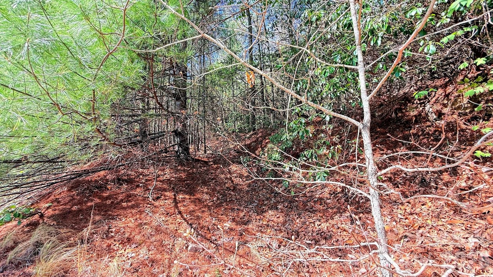 000 Jeter Mountain Road - Photo 3
