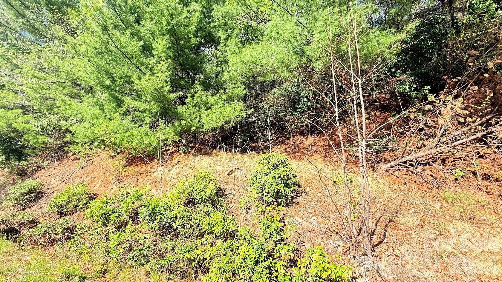 000 Jeter Mountain Road - Photo 4