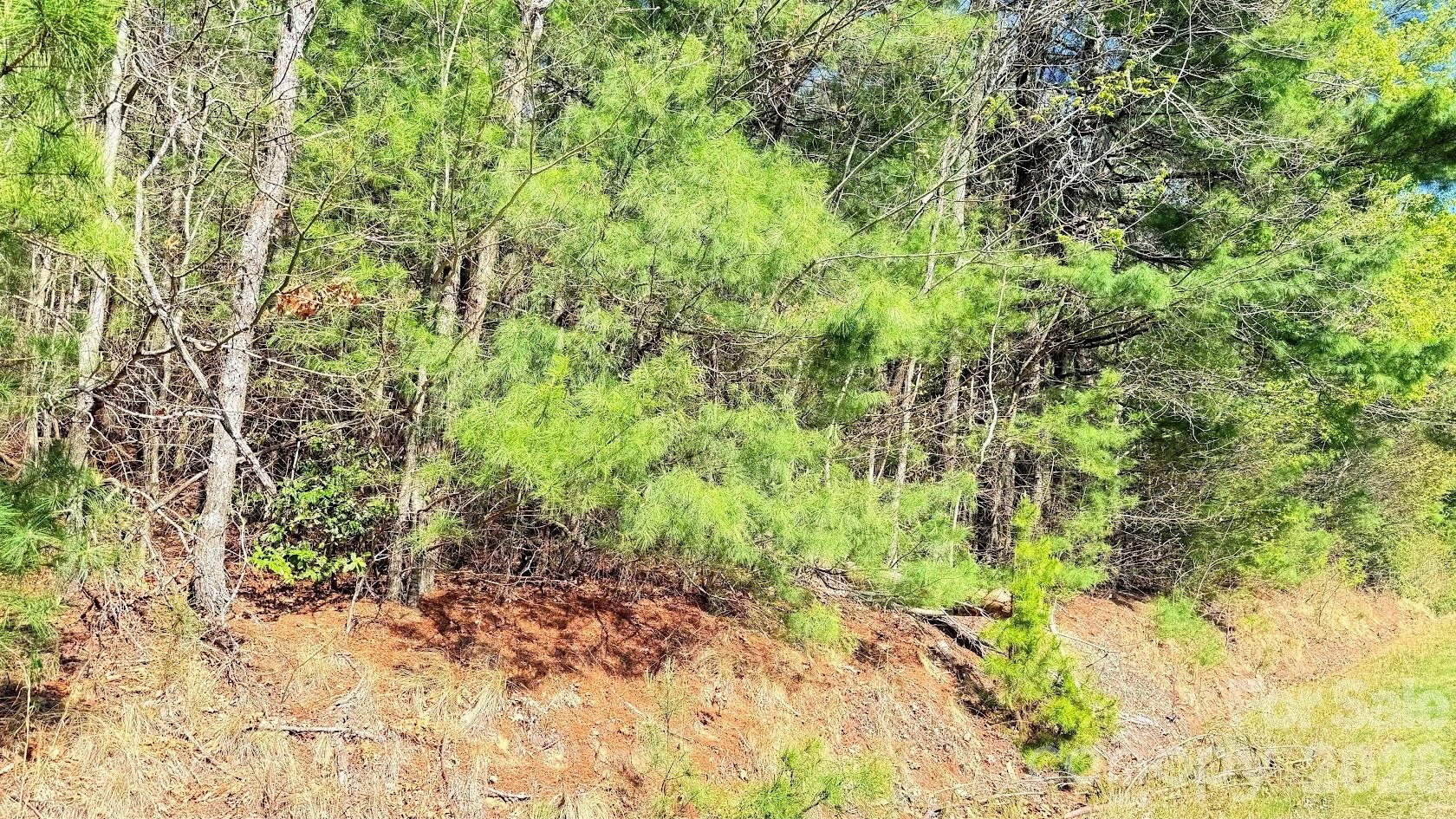 000 Jeter Mountain Road - Photo 7