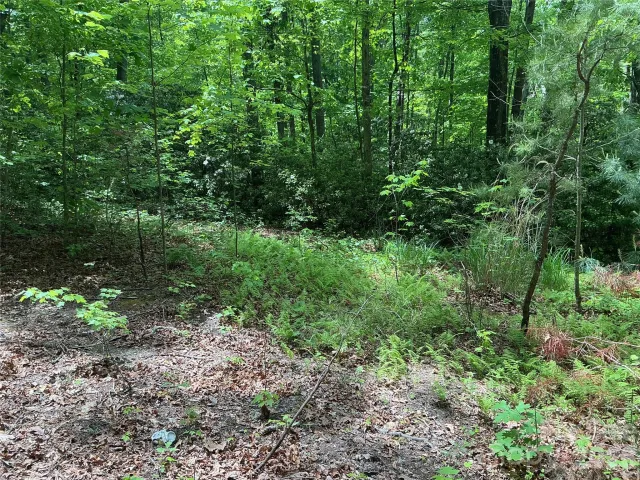 00 Green River Cove Road, Saluda, NC, 28773