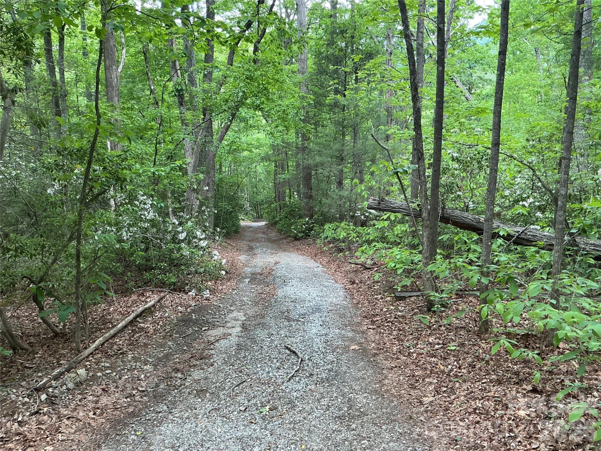 00 Green River Cove Road - Photo 2