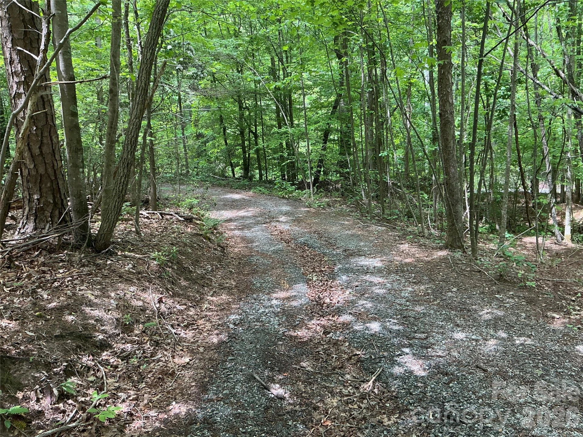 00 Green River Cove Road - Photo 5
