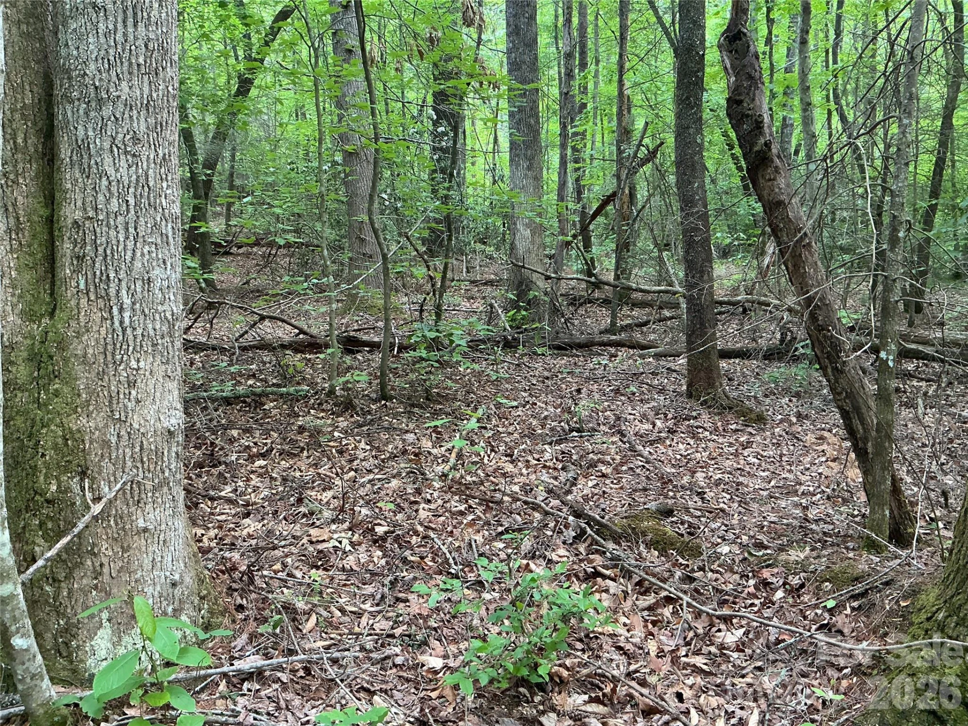 00 Green River Cove Road - Photo 7