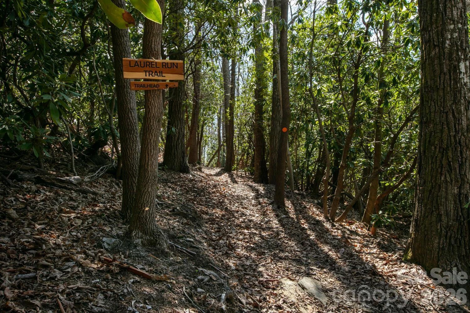 148 Spring Song Lane #6 - Photo 16