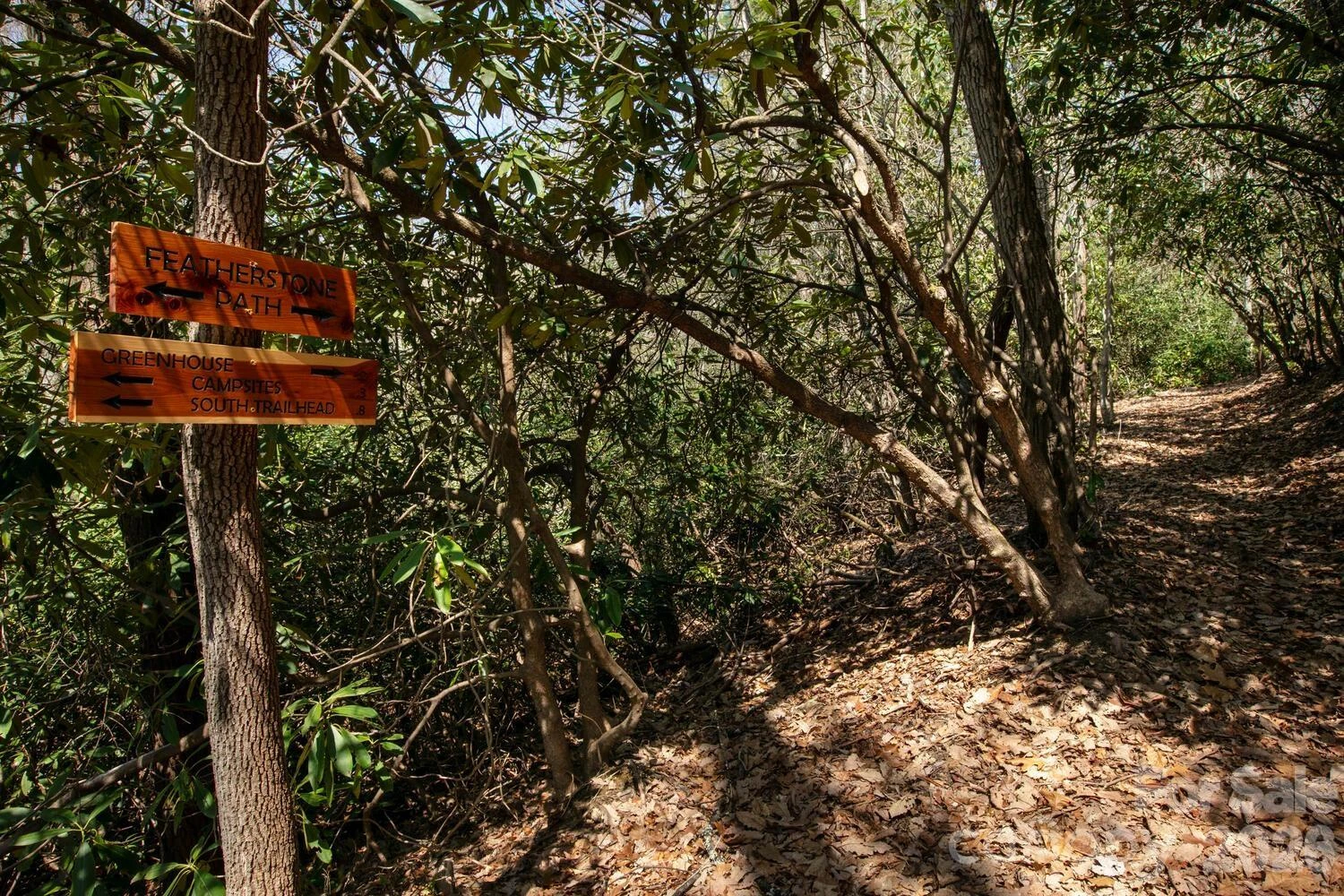 148 Spring Song Lane #6 - Photo 17